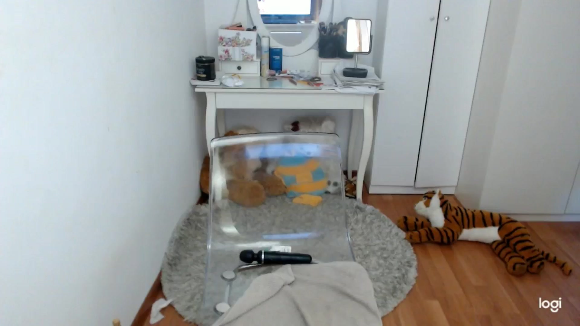 Gallery image thumbnail from AutumnJewel's myfreecams stream on, 09/21/2024, 09:42 image 13 of 20