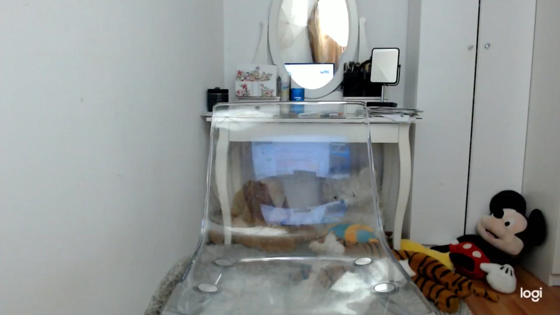 Gallery image thumbnail from AutumnJewel's myfreecams stream on, 09/27/2024, 08:49 image 1 of 20