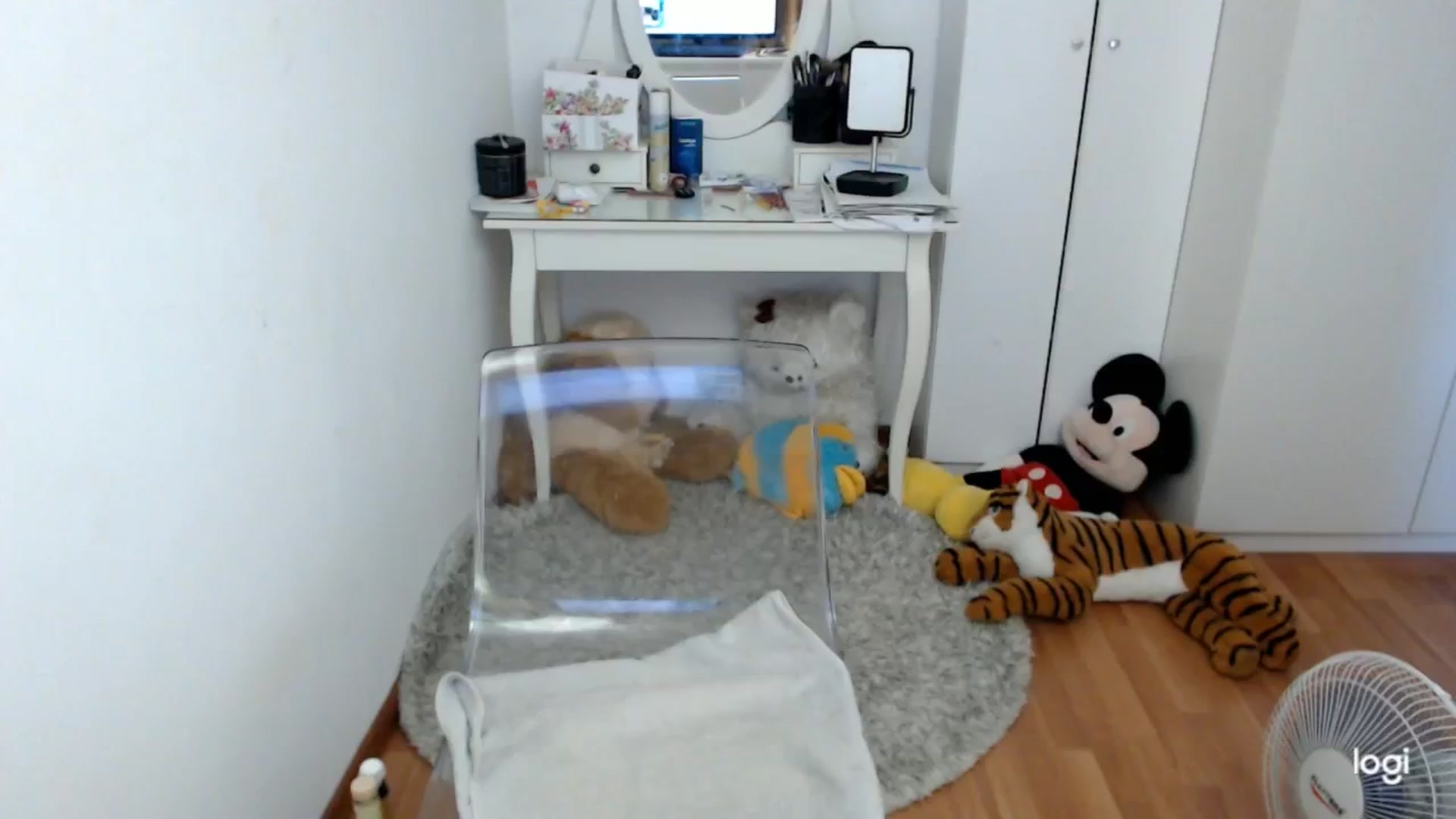Gallery image thumbnail from AutumnJewel's myfreecams stream on, 09/28/2024, 09:59 image 10 of 20