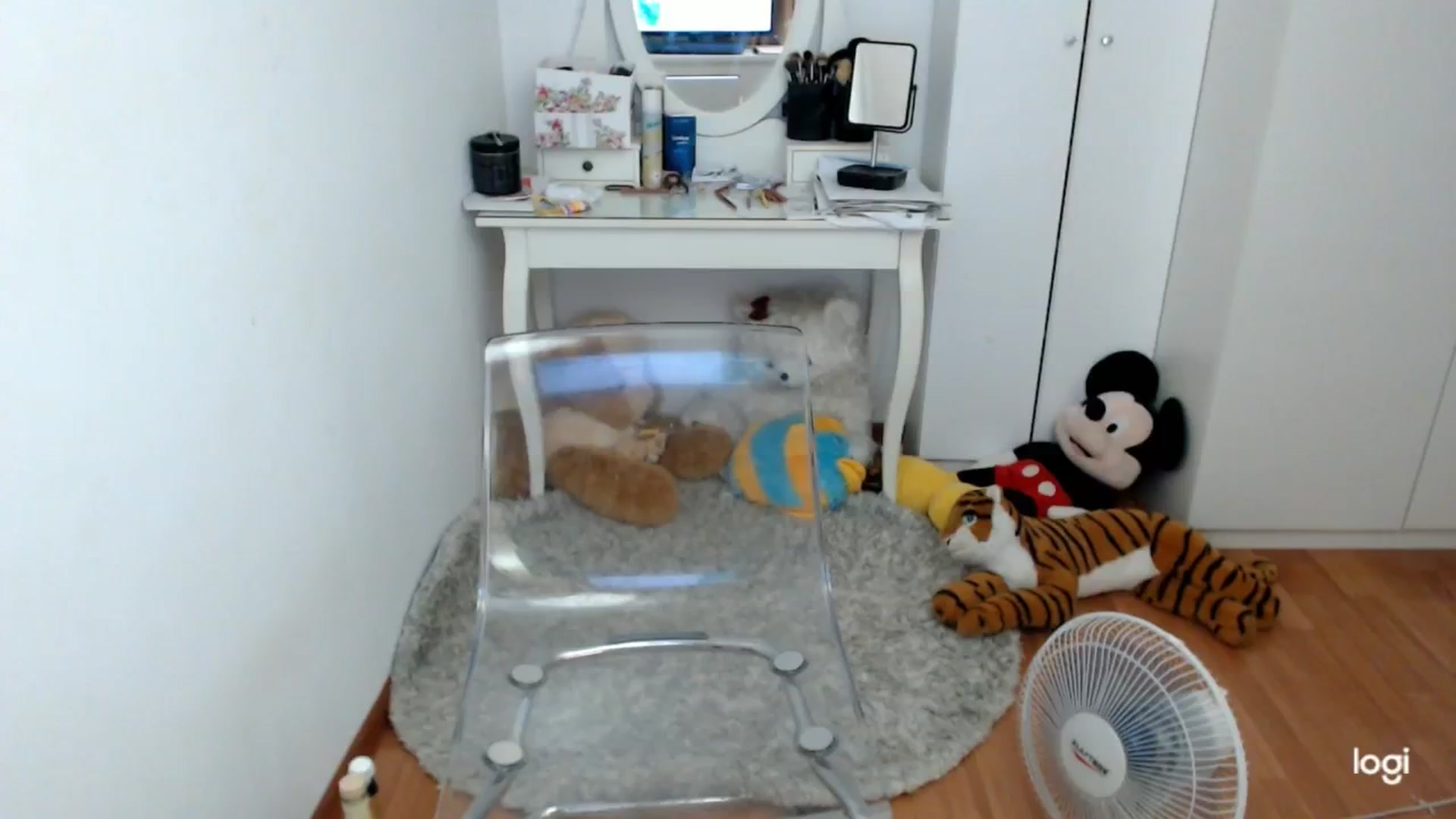 Gallery image thumbnail from AutumnJewel's myfreecams stream on, 09/29/2024, 08:38 image 13 of 20