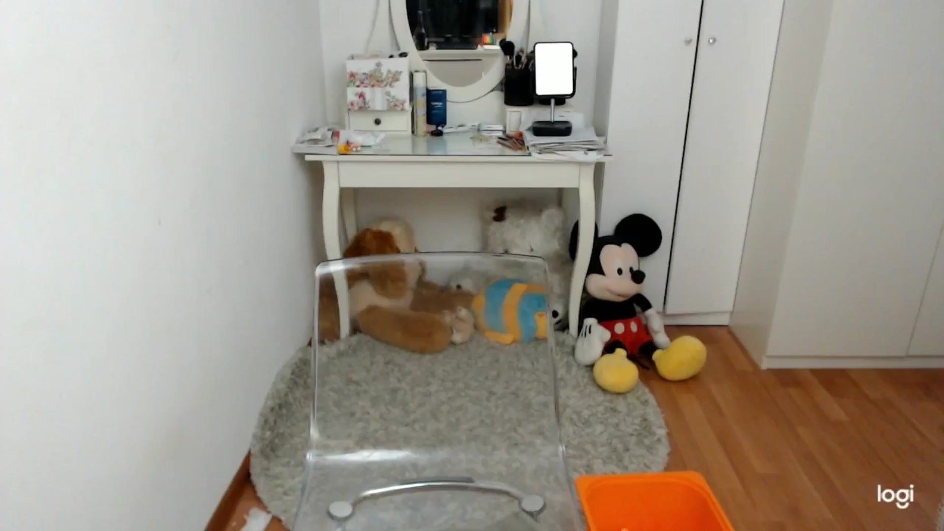 Gallery image thumbnail from AutumnJewel's myfreecams stream on, 10/10/2024, 09:04 image 12 of 20