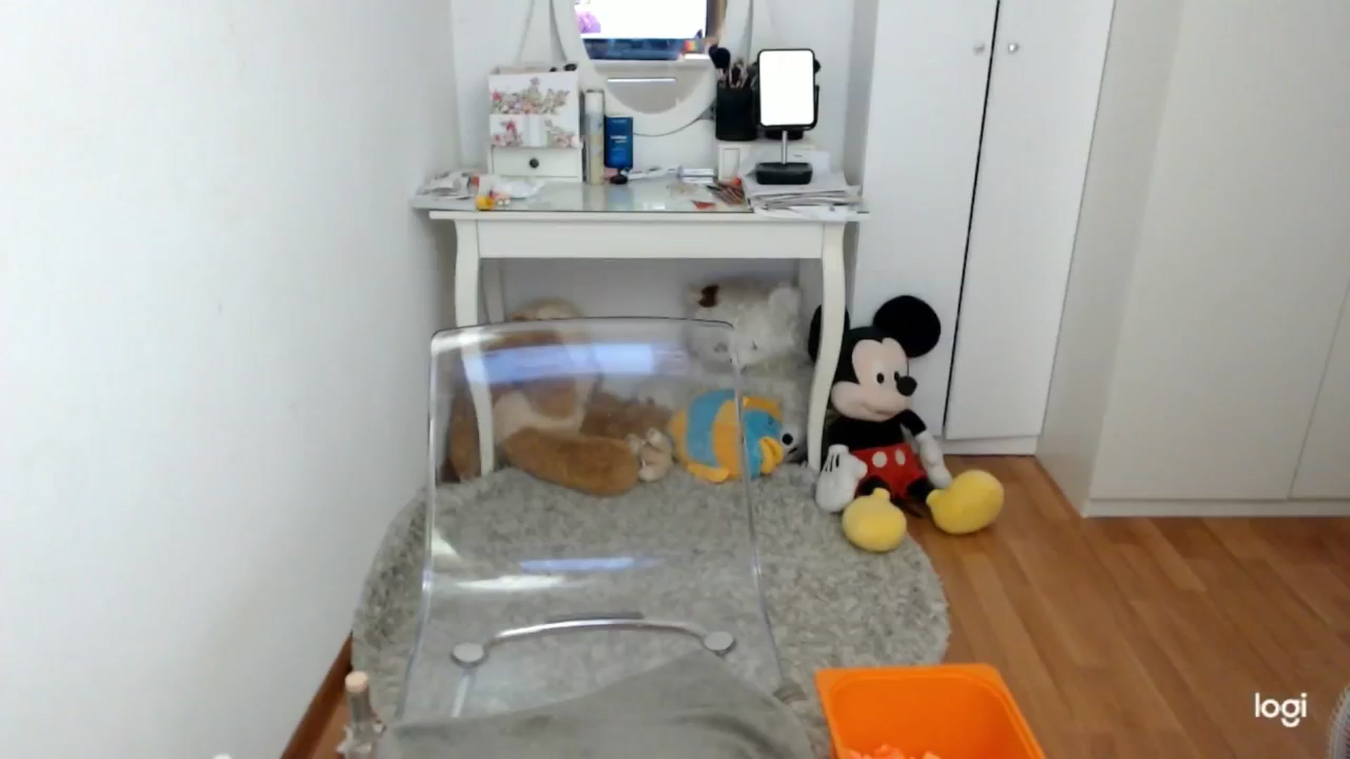 Gallery image thumbnail from AutumnJewel's myfreecams stream on, 10/10/2024, 09:04 image 7 of 20