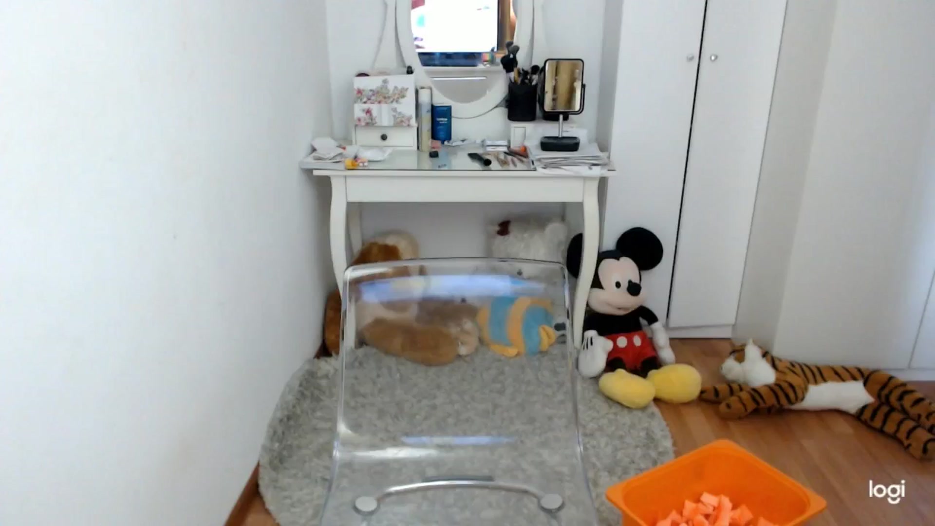 Gallery image thumbnail from AutumnJewel's myfreecams stream on, 10/11/2024, 08:42 image 17 of 20