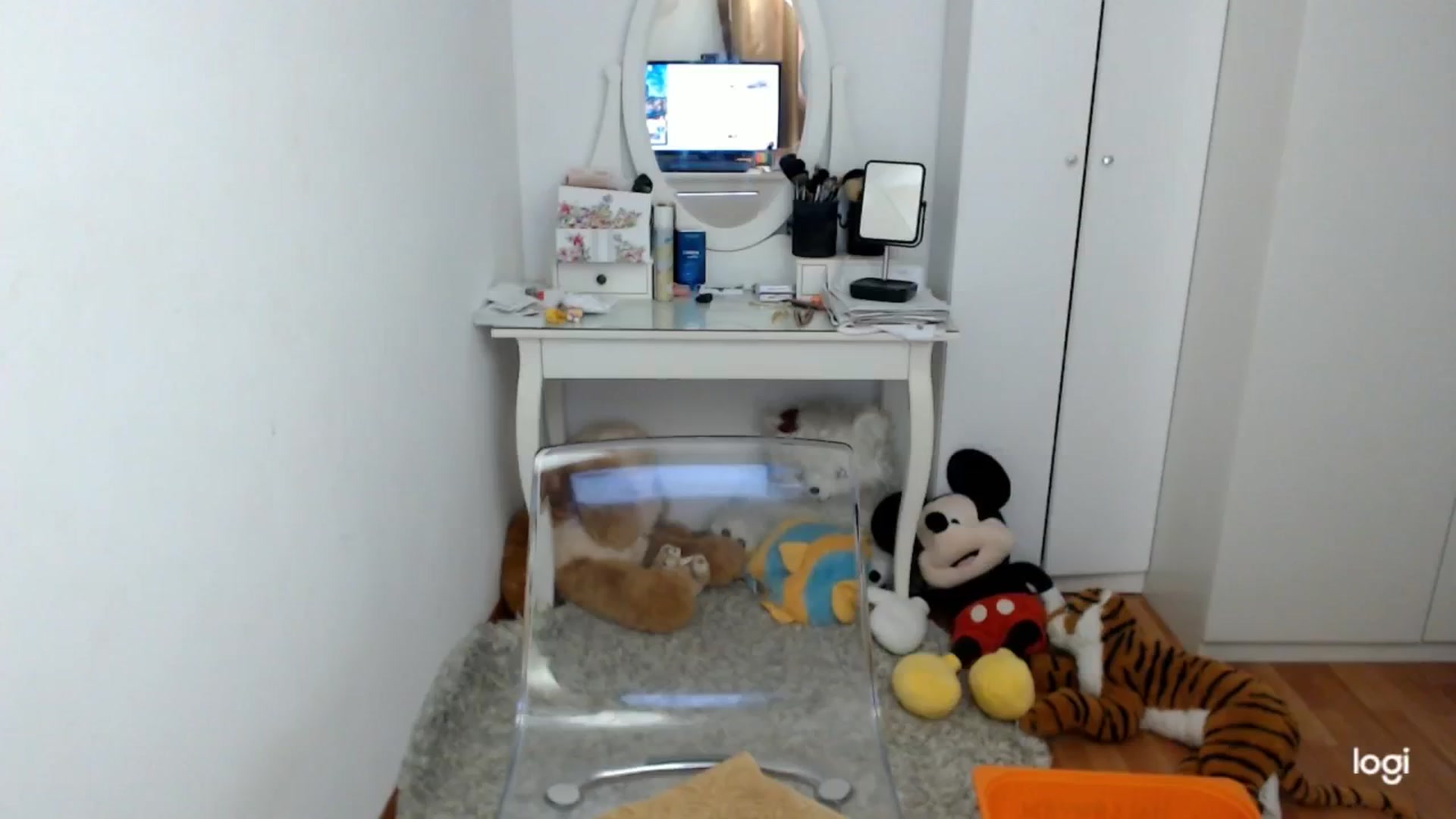 Gallery image thumbnail from AutumnJewel's myfreecams stream on, 10/13/2024, 08:32 image 1 of 20