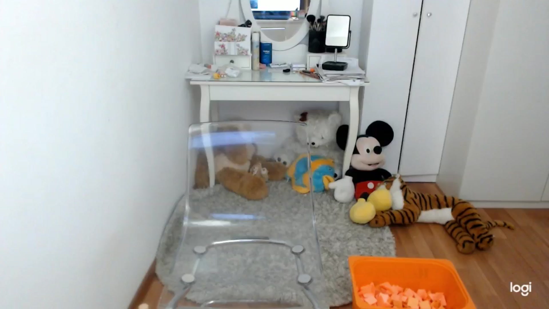 Gallery image thumbnail from AutumnJewel's myfreecams stream on, 10/18/2024, 08:51 image 14 of 20
