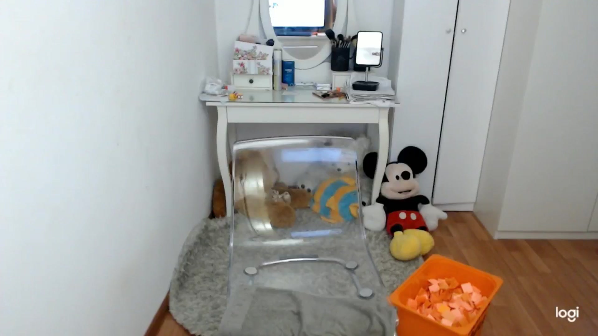 Gallery image thumbnail from AutumnJewel's myfreecams stream on, 10/22/2024, 08:50 image 9 of 20