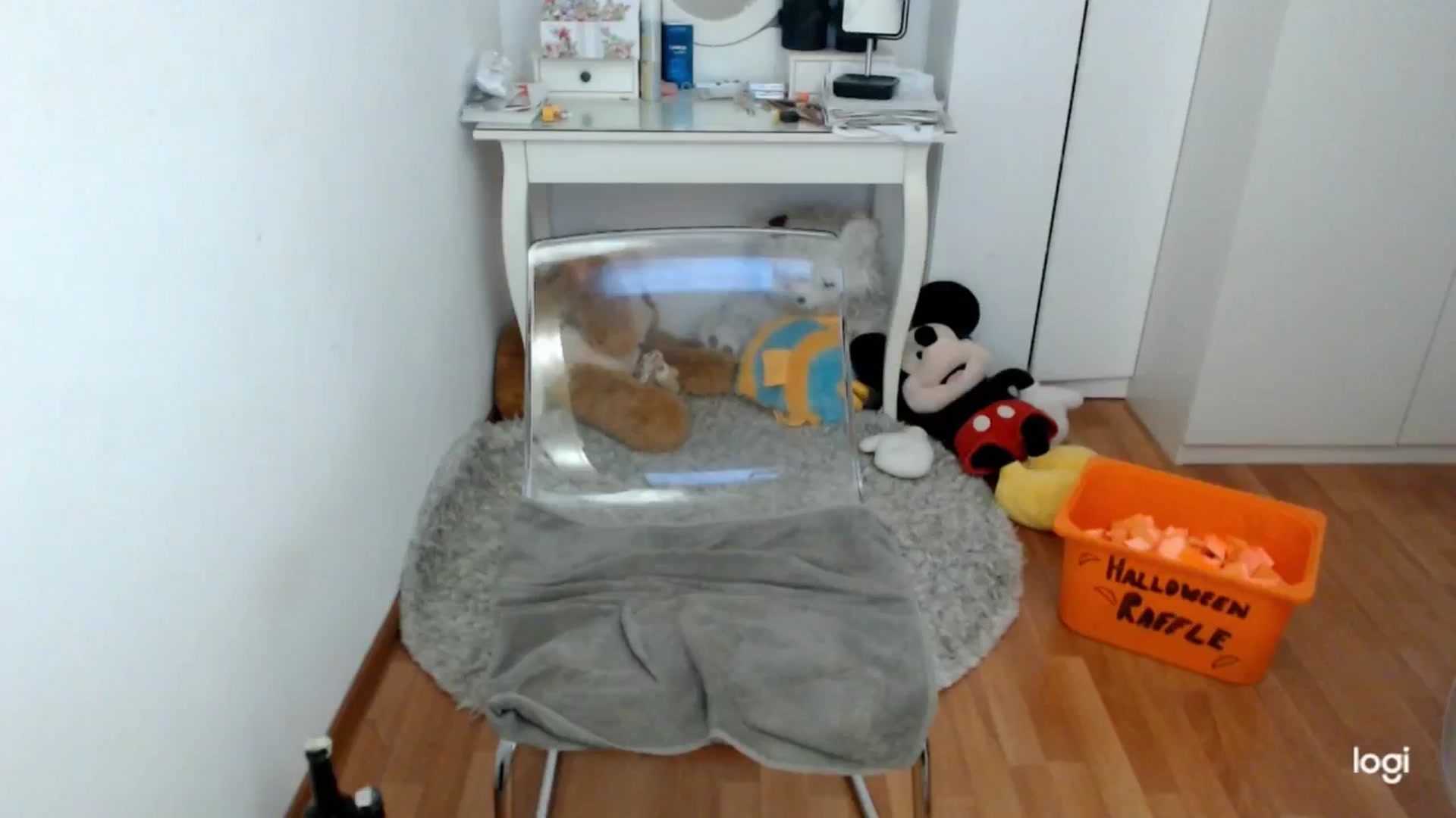 Gallery image thumbnail from AutumnJewel's myfreecams stream on, 10/24/2024, 09:05 image 16 of 20