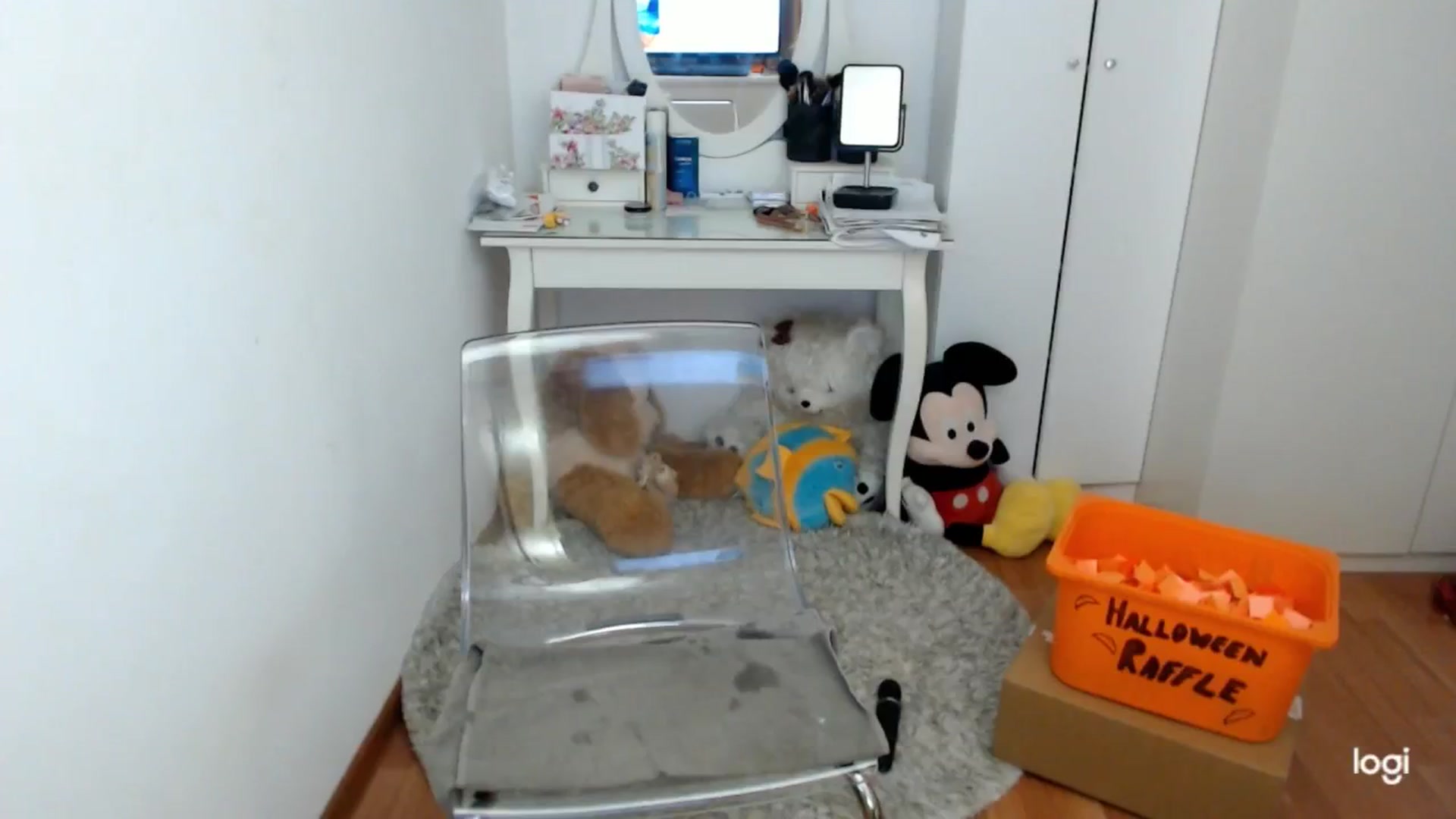 Gallery image thumbnail from AutumnJewel's myfreecams stream on, 10/26/2024, 09:17 image 16 of 20