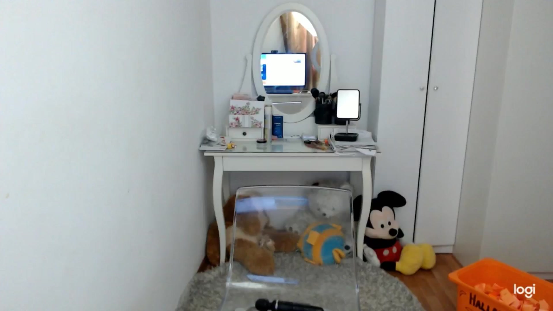 Gallery image thumbnail from AutumnJewel's myfreecams stream on, 10/26/2024, 10:00 image 12 of 20