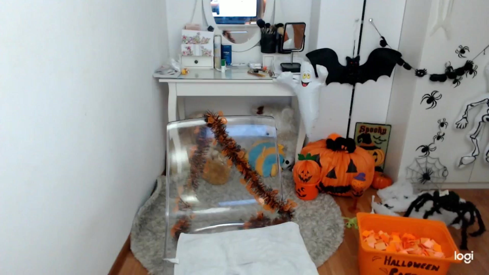 Gallery image thumbnail from AutumnJewel's myfreecams stream on, 10/30/2024, 10:03 image 11 of 20