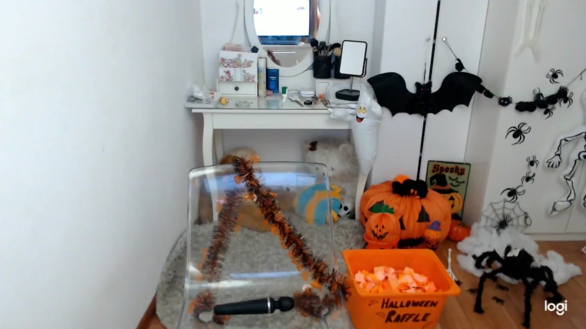 Gallery image thumbnail from AutumnJewel's myfreecams stream on, 10/31/2024, 09:17 image 14 of 20