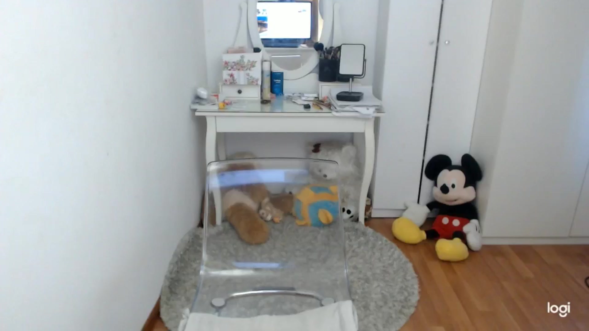 Gallery image thumbnail from AutumnJewel's myfreecams stream on, 11/05/2024, 10:04 image 17 of 20