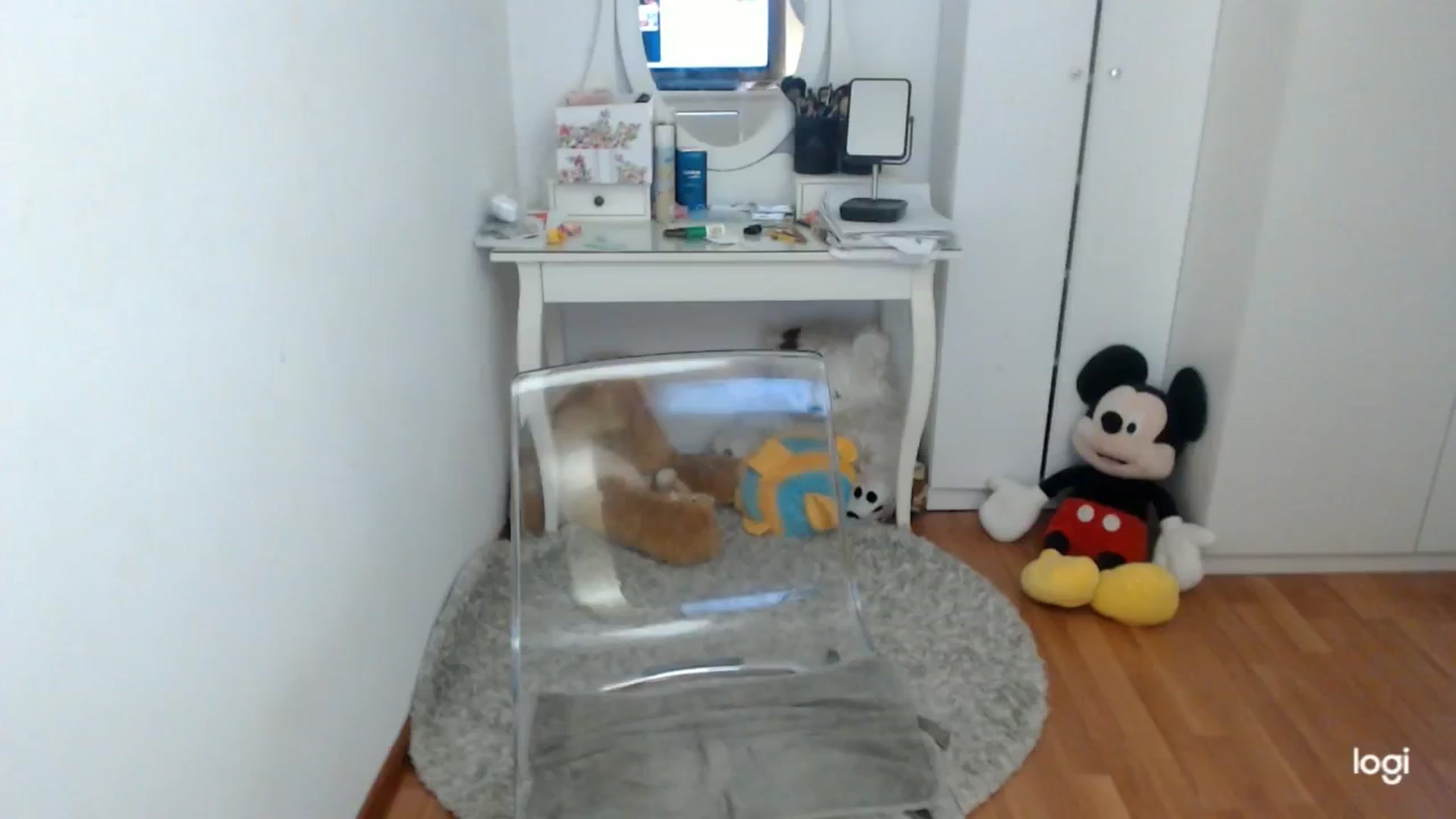 Gallery image thumbnail from AutumnJewel's myfreecams stream on, 11/06/2024, 09:48 image 13 of 20