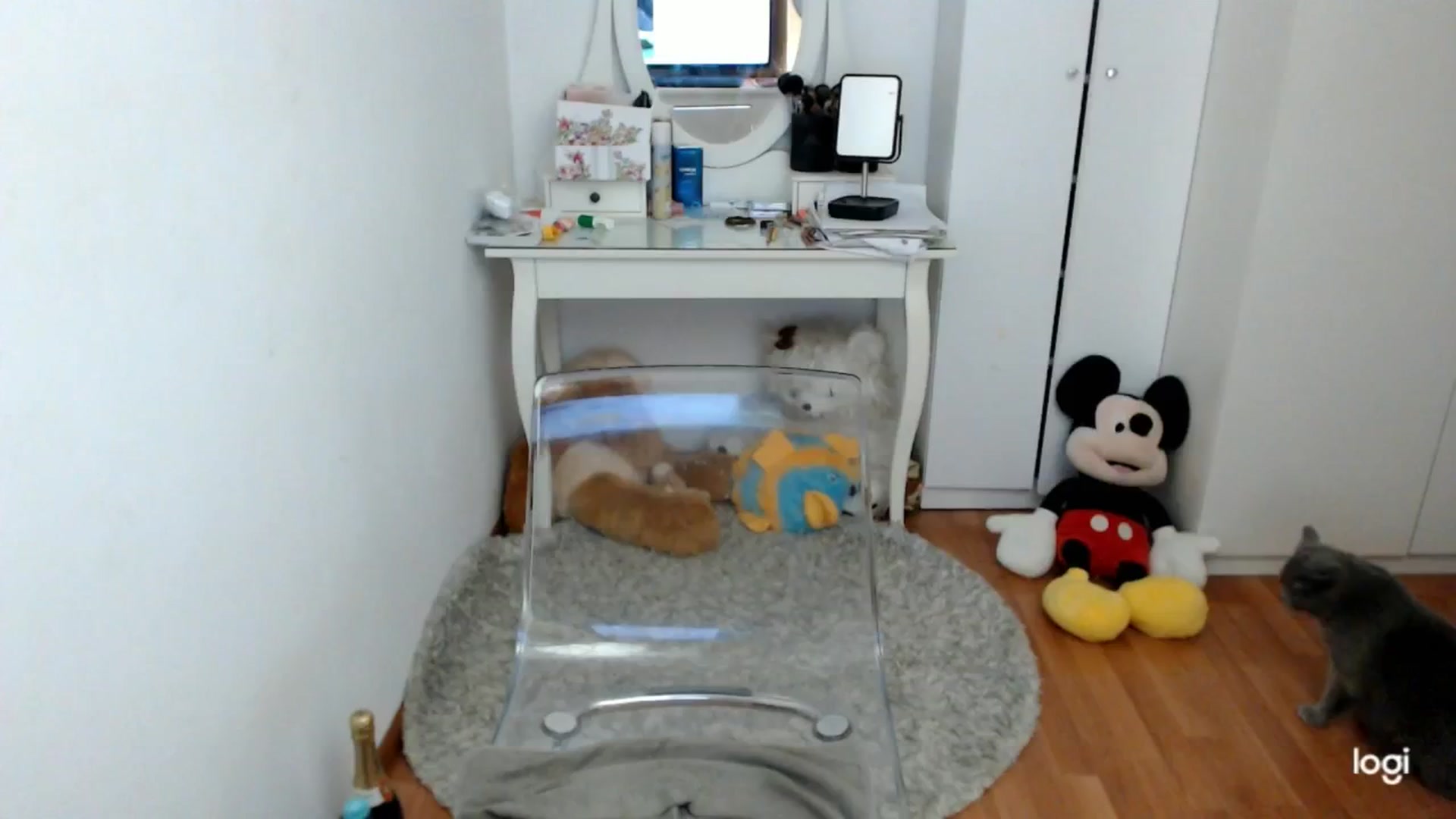 Gallery image thumbnail from AutumnJewel's myfreecams stream on, 11/07/2024, 09:42 image 7 of 20