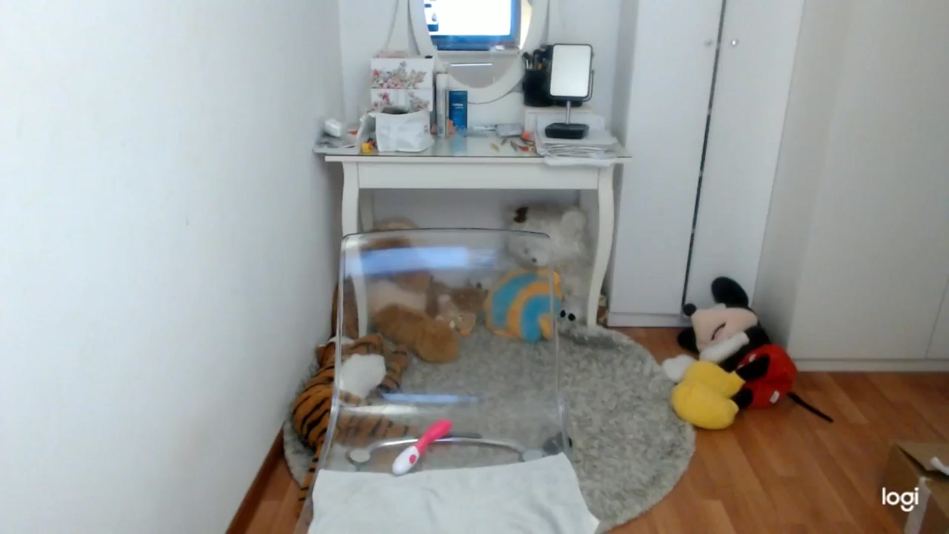 Gallery image thumbnail from AutumnJewel's myfreecams stream on, 11/16/2024, 10:20 image 7 of 20