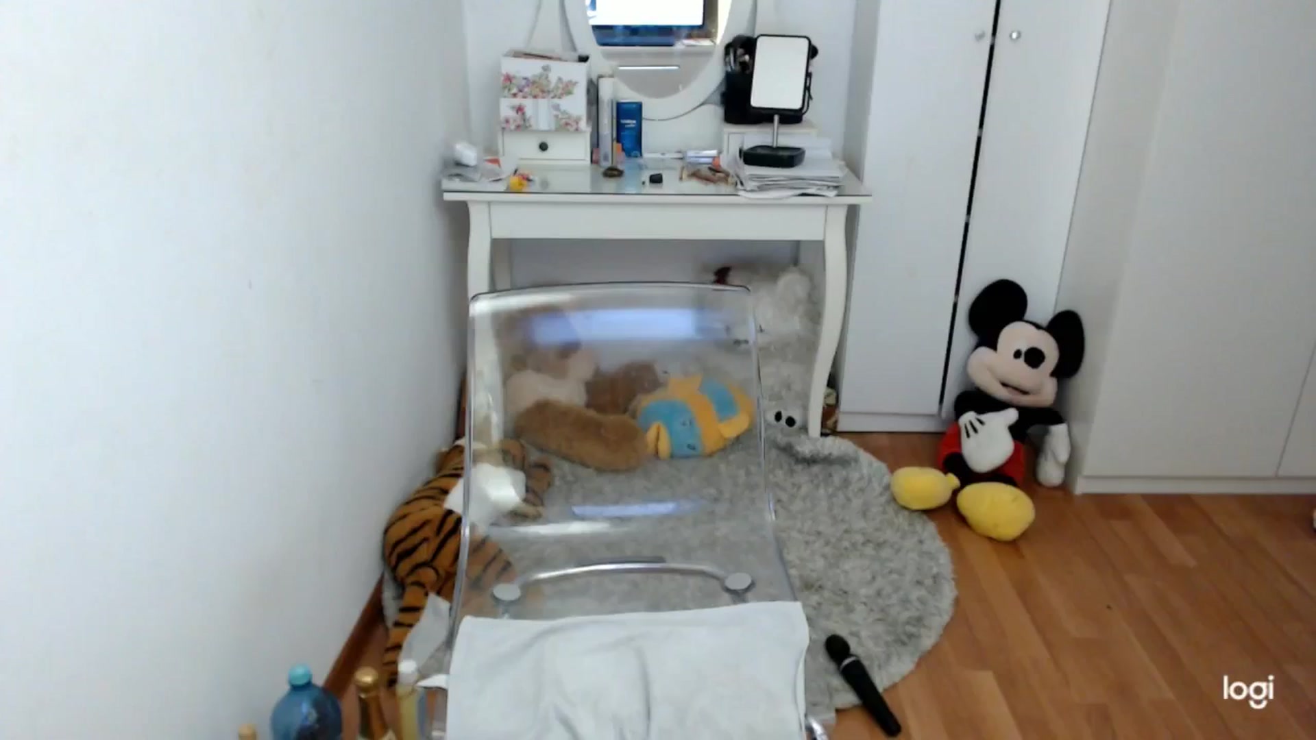 Gallery image thumbnail from AutumnJewel's myfreecams stream on, 11/20/2024, 09:43 image 14 of 20