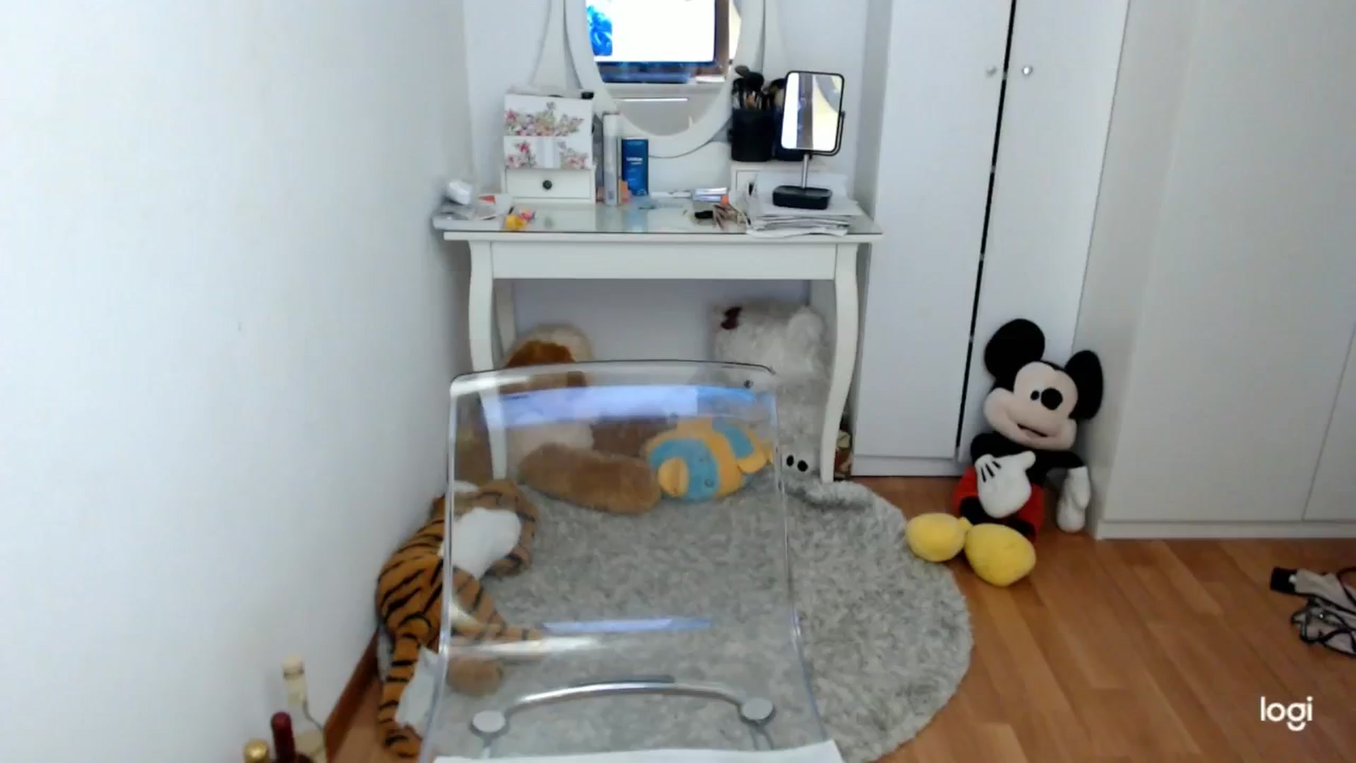 Gallery image thumbnail from AutumnJewel's myfreecams stream on, 11/21/2024, 09:32 image 5 of 20