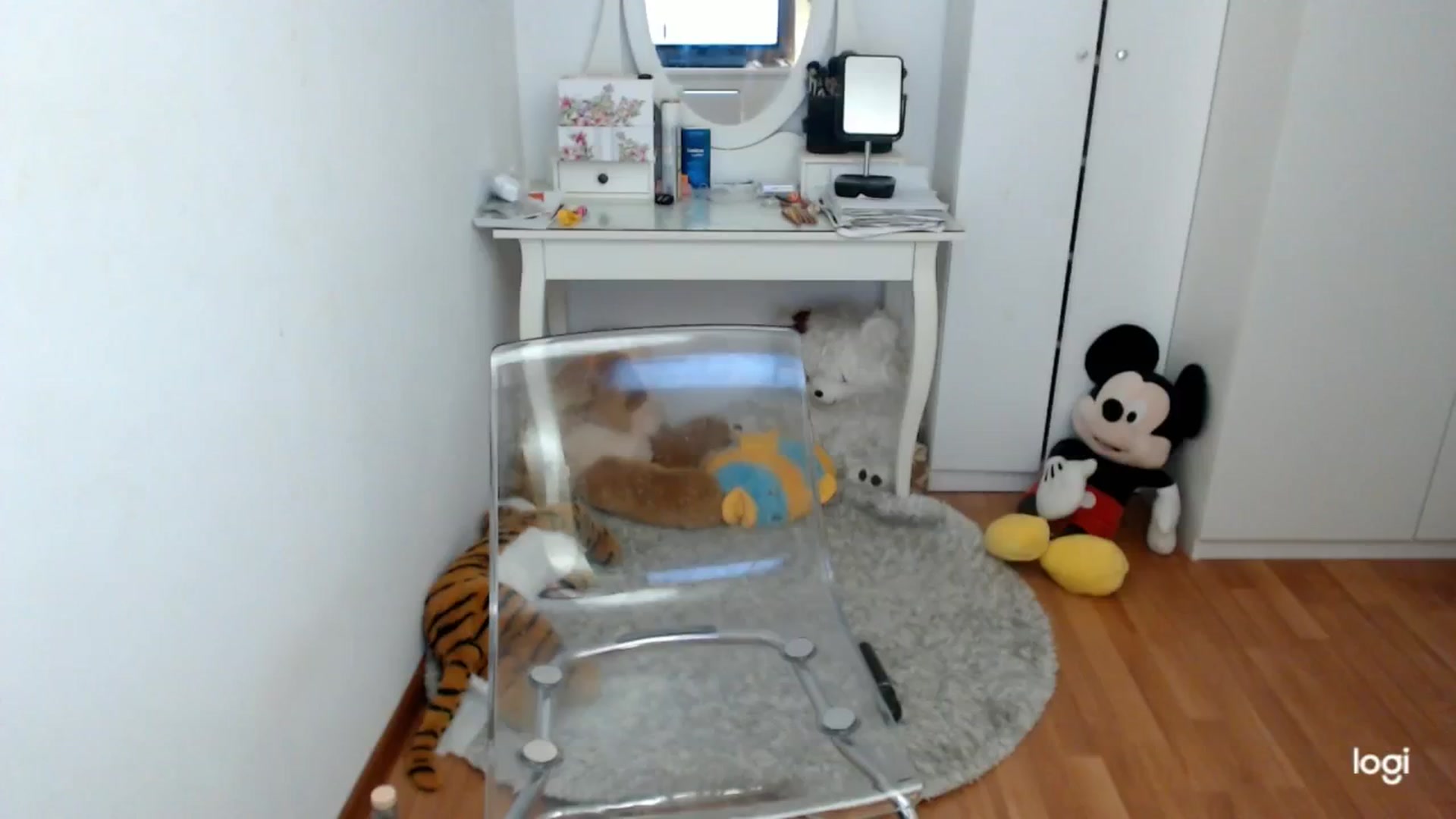Gallery image thumbnail from AutumnJewel's myfreecams stream on, 11/23/2024, 11:31 image 14 of 20