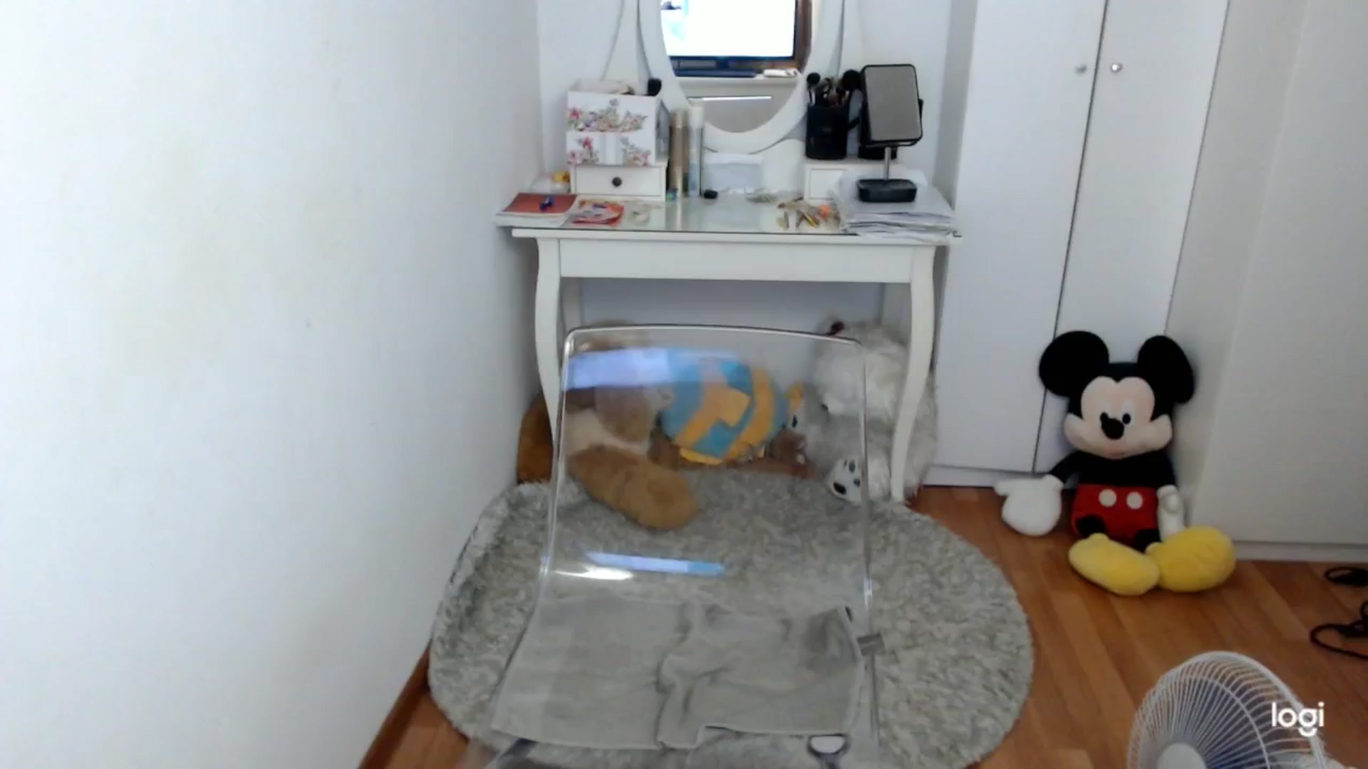 Gallery image thumbnail from AutumnJewel's myfreecams stream on, 09/25/2025, 08:23 image 12 of 20