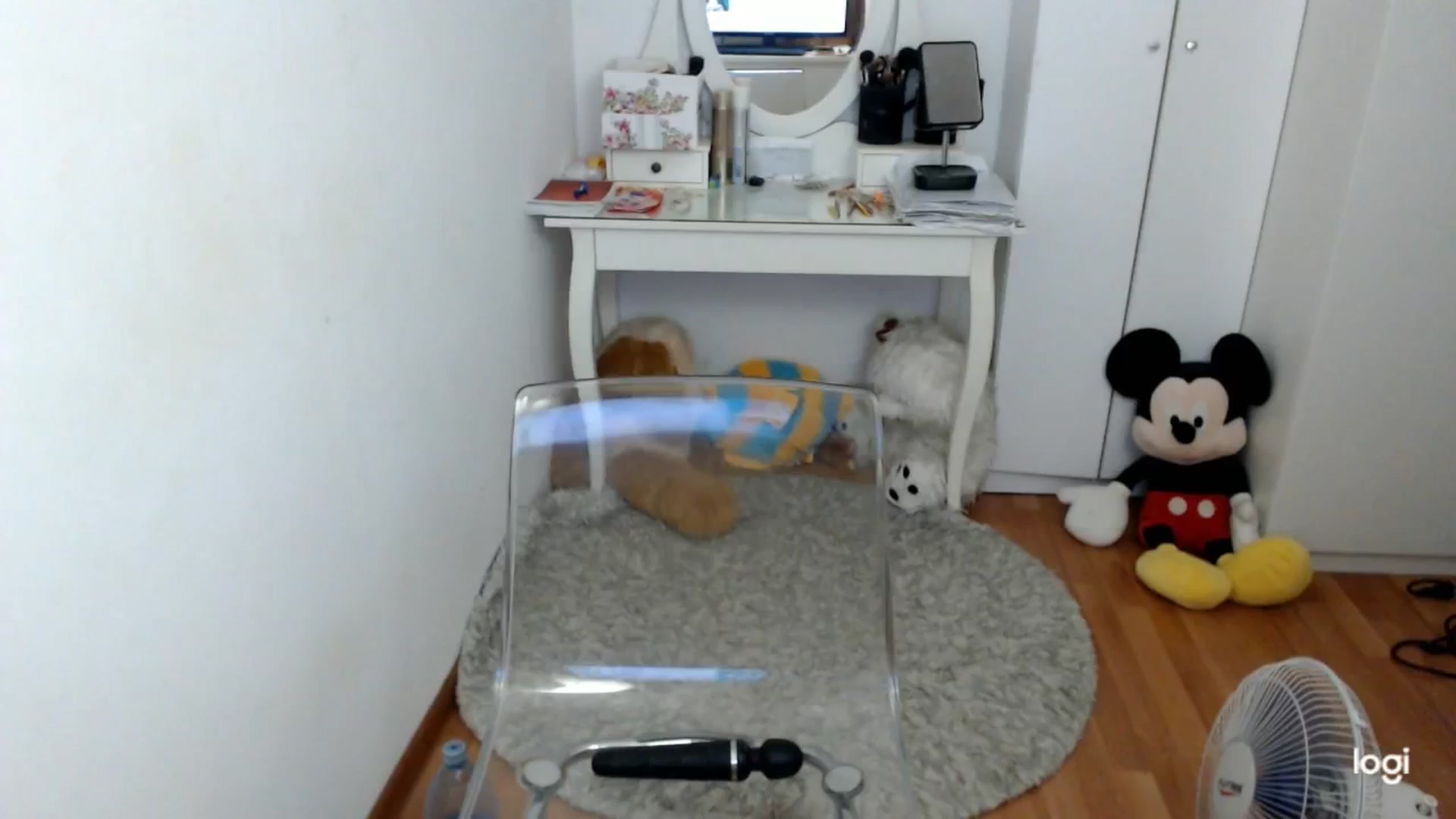 Gallery image thumbnail from AutumnJewel's myfreecams stream on, 09/25/2025, 08:23 image 15 of 20