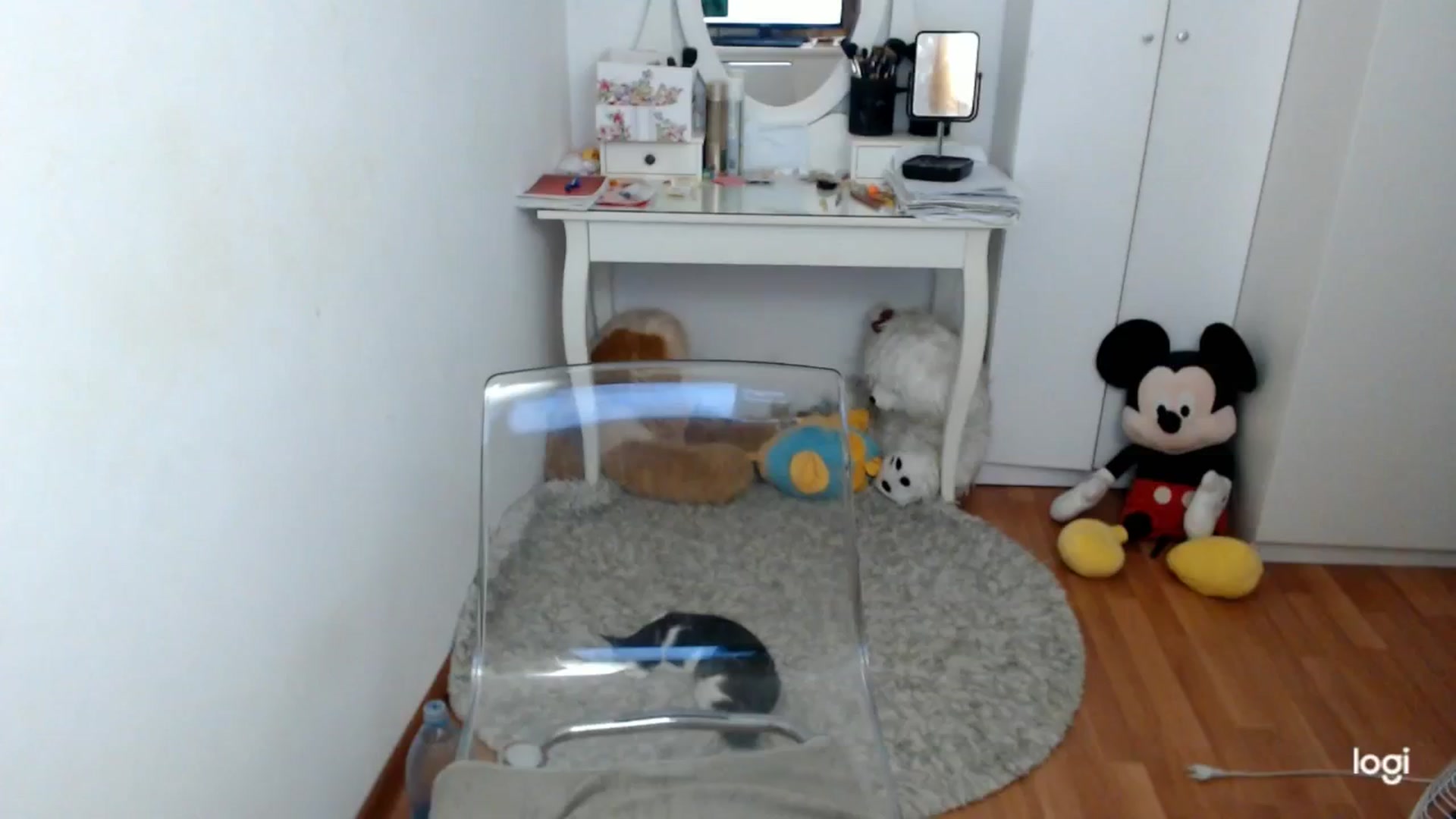 Gallery image thumbnail from AutumnJewel's myfreecams stream on, 09/27/2025, 08:37 image 13 of 20