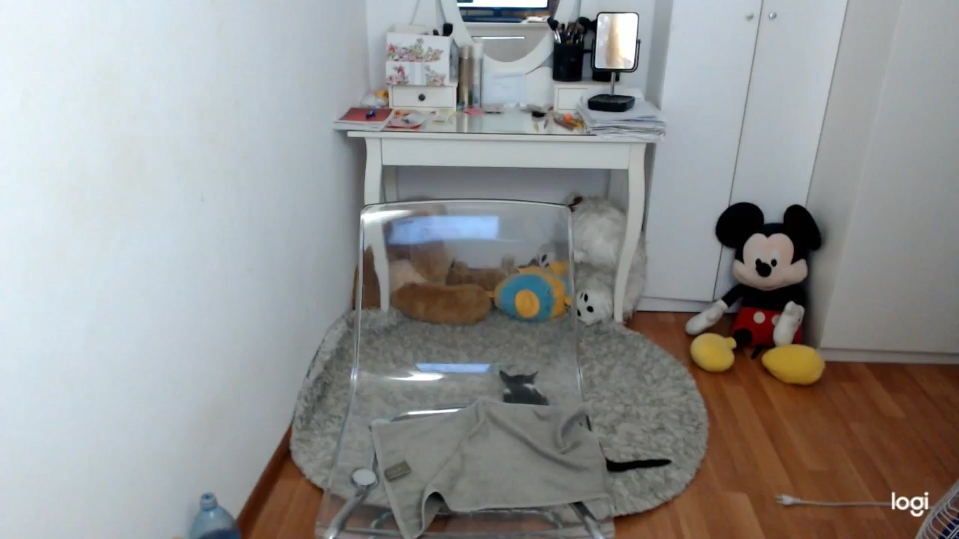 Gallery image thumbnail from AutumnJewel's myfreecams stream on, 09/27/2025, 08:37 image 9 of 20