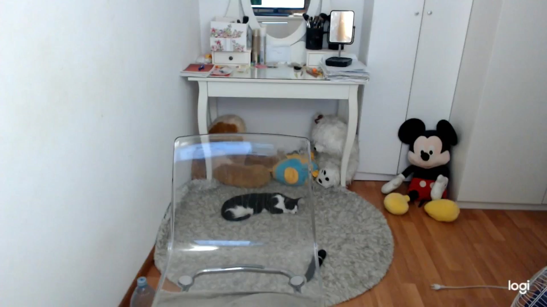 Gallery image thumbnail from AutumnJewel's myfreecams stream on, 09/27/2025, 08:37 image 17 of 20
