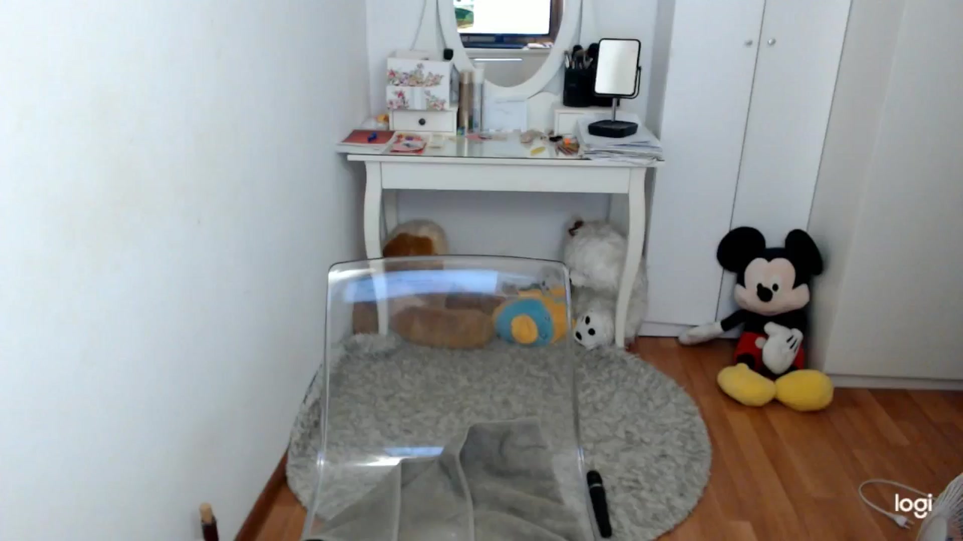 Gallery image thumbnail from AutumnJewel's myfreecams stream on, 09/28/2025, 08:36 image 13 of 20