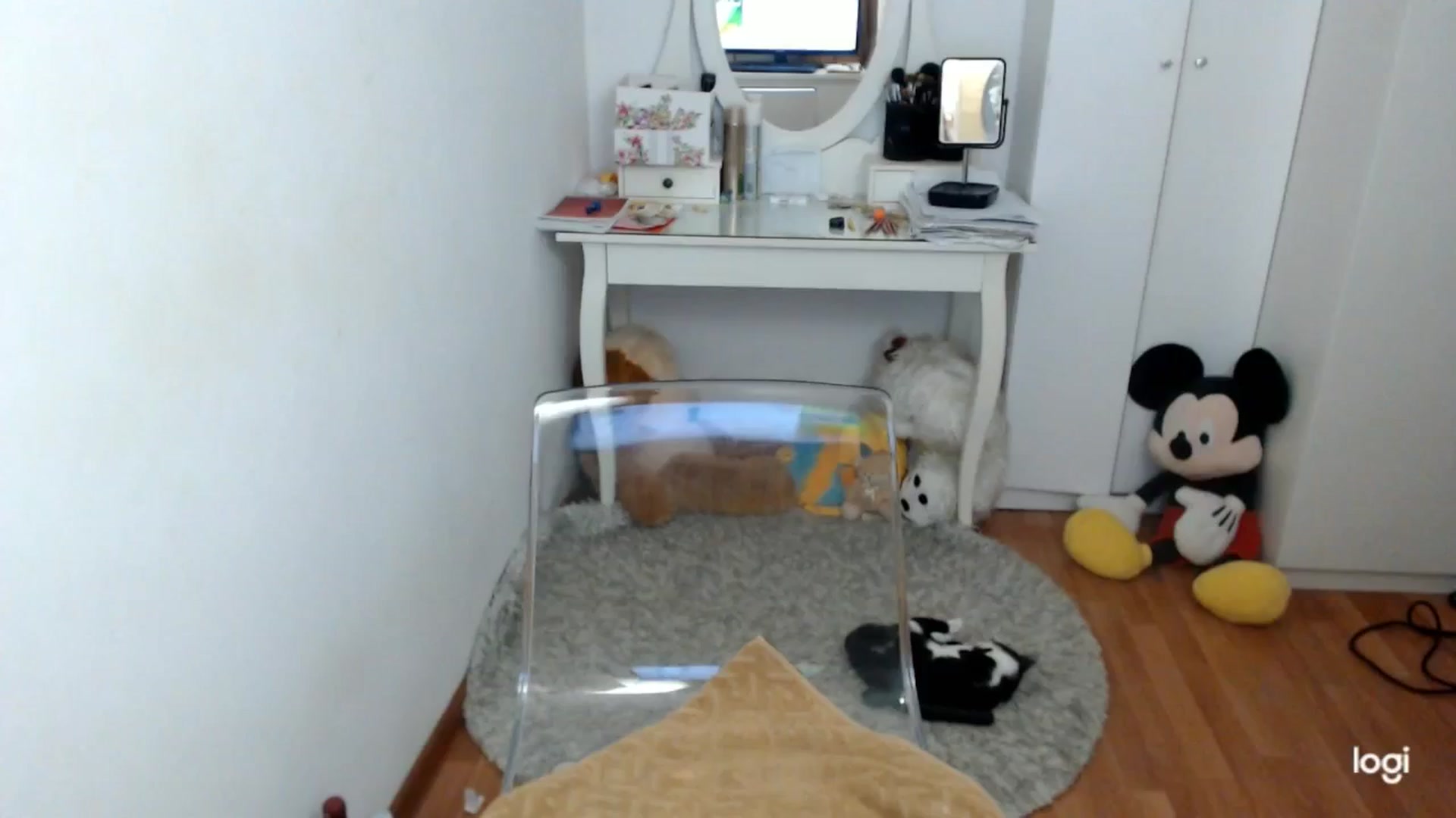 Gallery image thumbnail from AutumnJewel's myfreecams stream on, 10/02/2025, 08:35 image 14 of 20