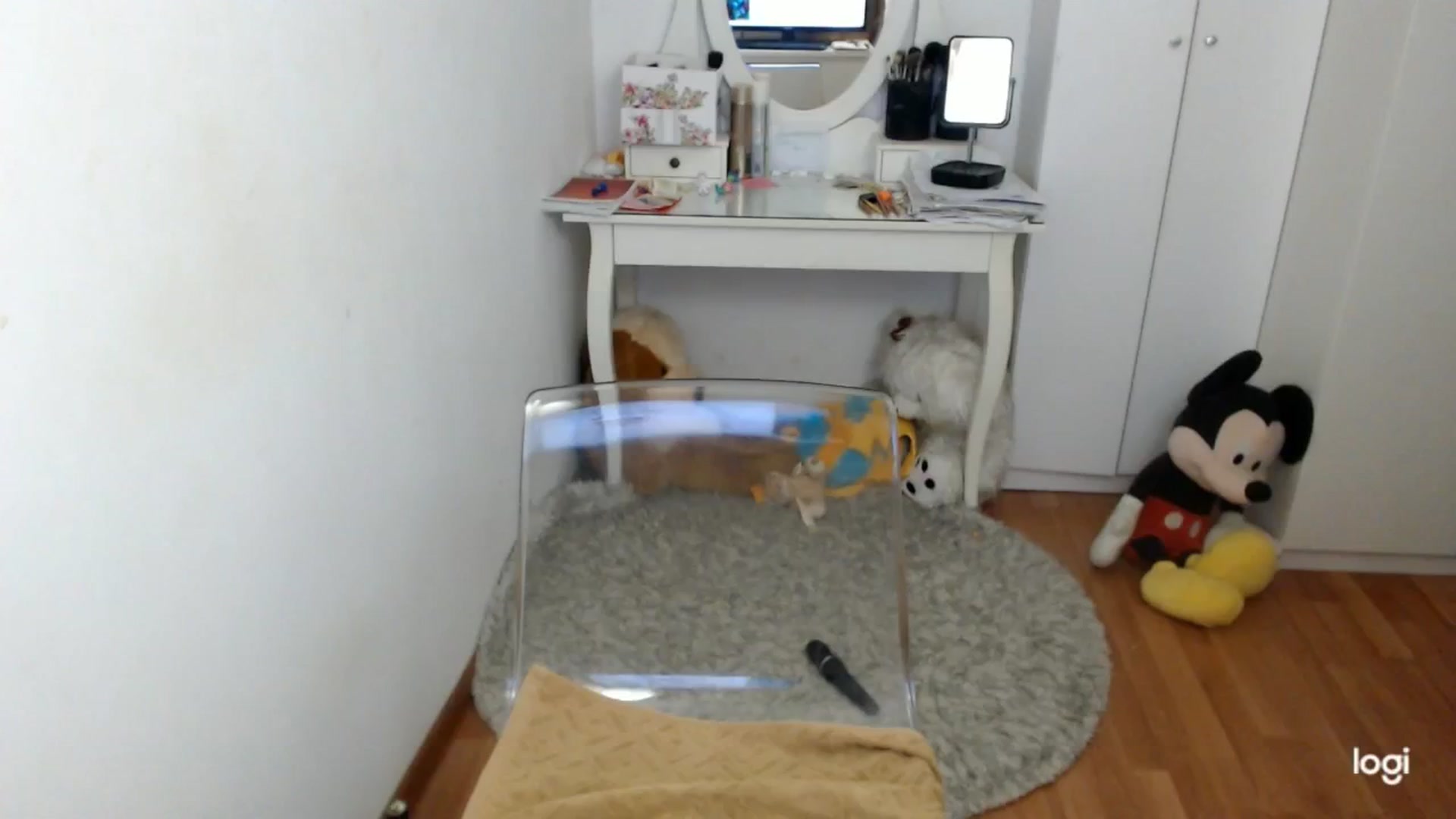 Gallery image thumbnail from AutumnJewel's myfreecams stream on, 10/04/2025, 09:07 image 6 of 20