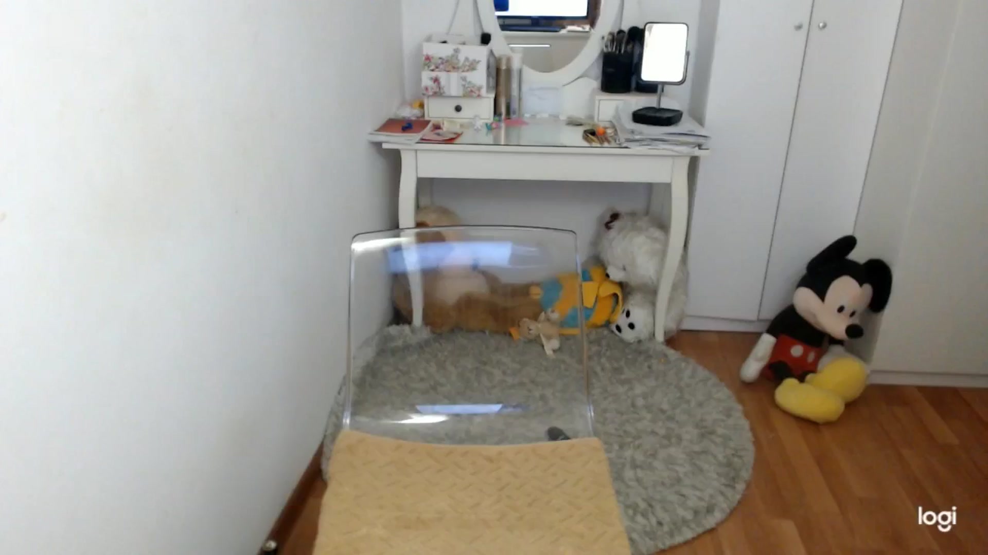 Gallery image thumbnail from AutumnJewel's myfreecams stream on, 10/04/2025, 09:07 image 12 of 20
