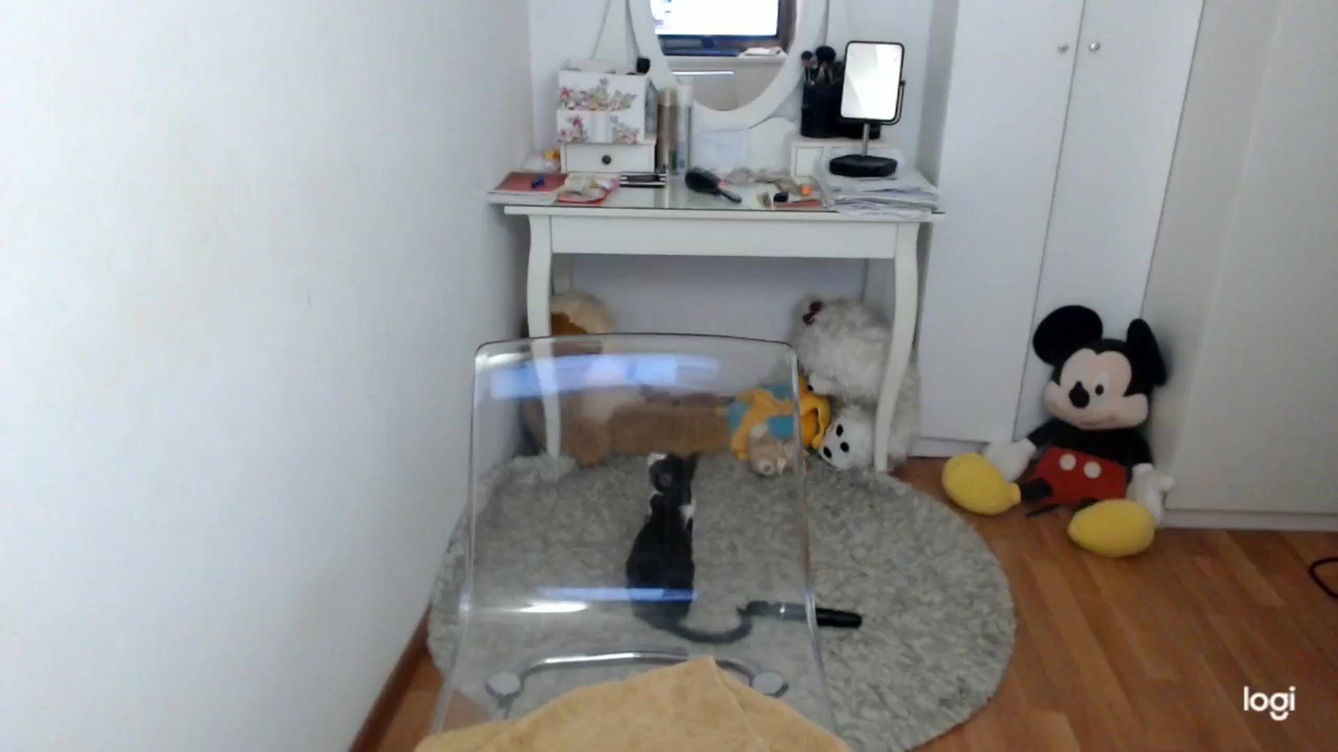 Gallery image thumbnail from AutumnJewel's myfreecams stream on, 10/06/2025, 08:43 image 17 of 20