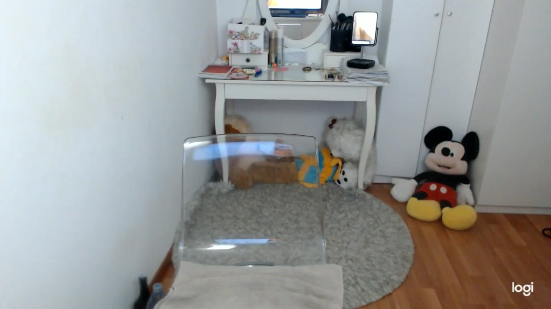 Gallery image thumbnail from AutumnJewel's myfreecams stream on, 10/10/2025, 09:13 image 8 of 20