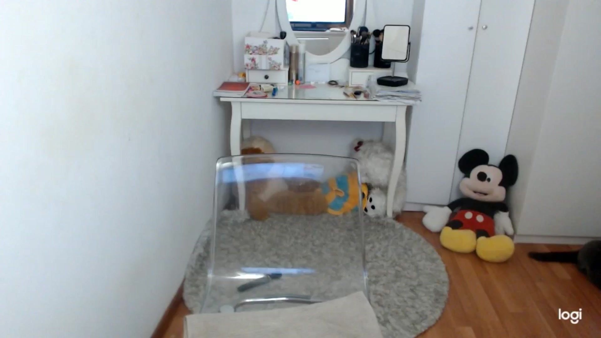 Gallery image thumbnail from AutumnJewel's myfreecams stream on, 10/11/2025, 09:13 image 17 of 20