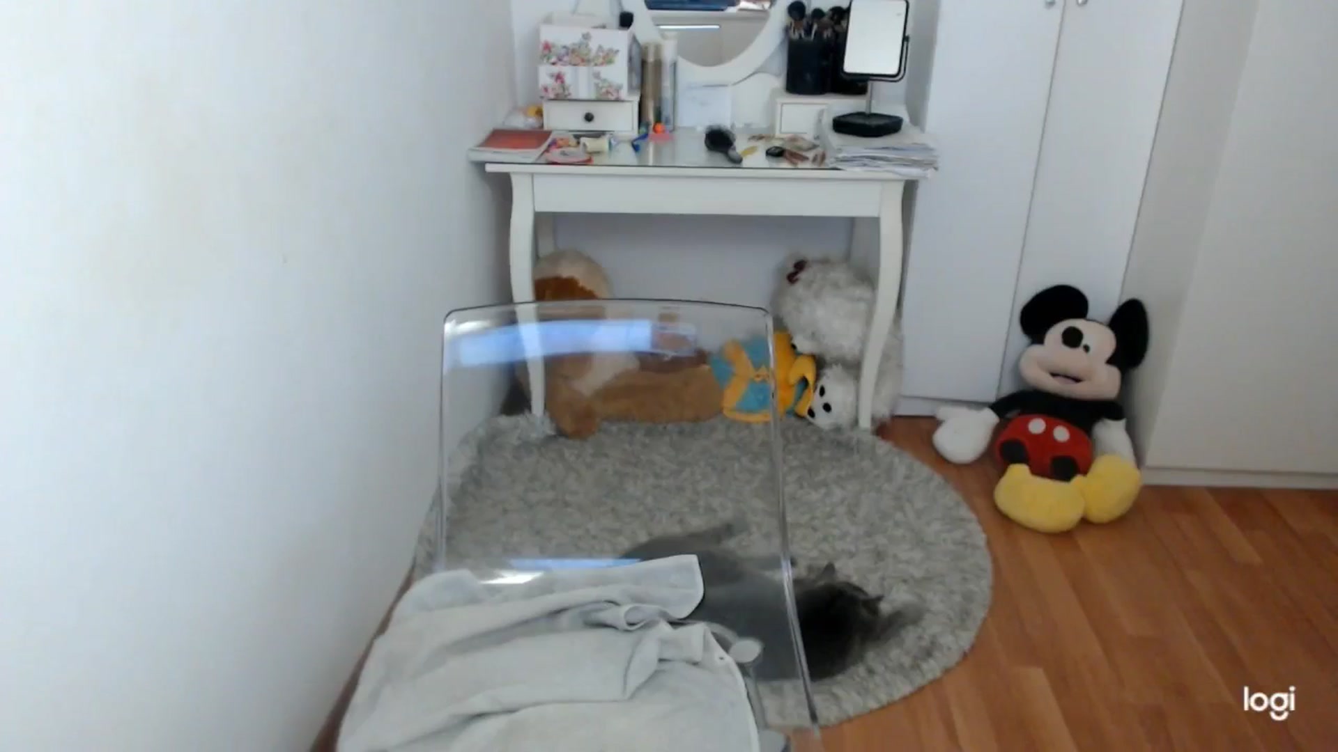 Gallery image thumbnail from AutumnJewel's myfreecams stream on, 10/13/2025, 08:38 image 18 of 20