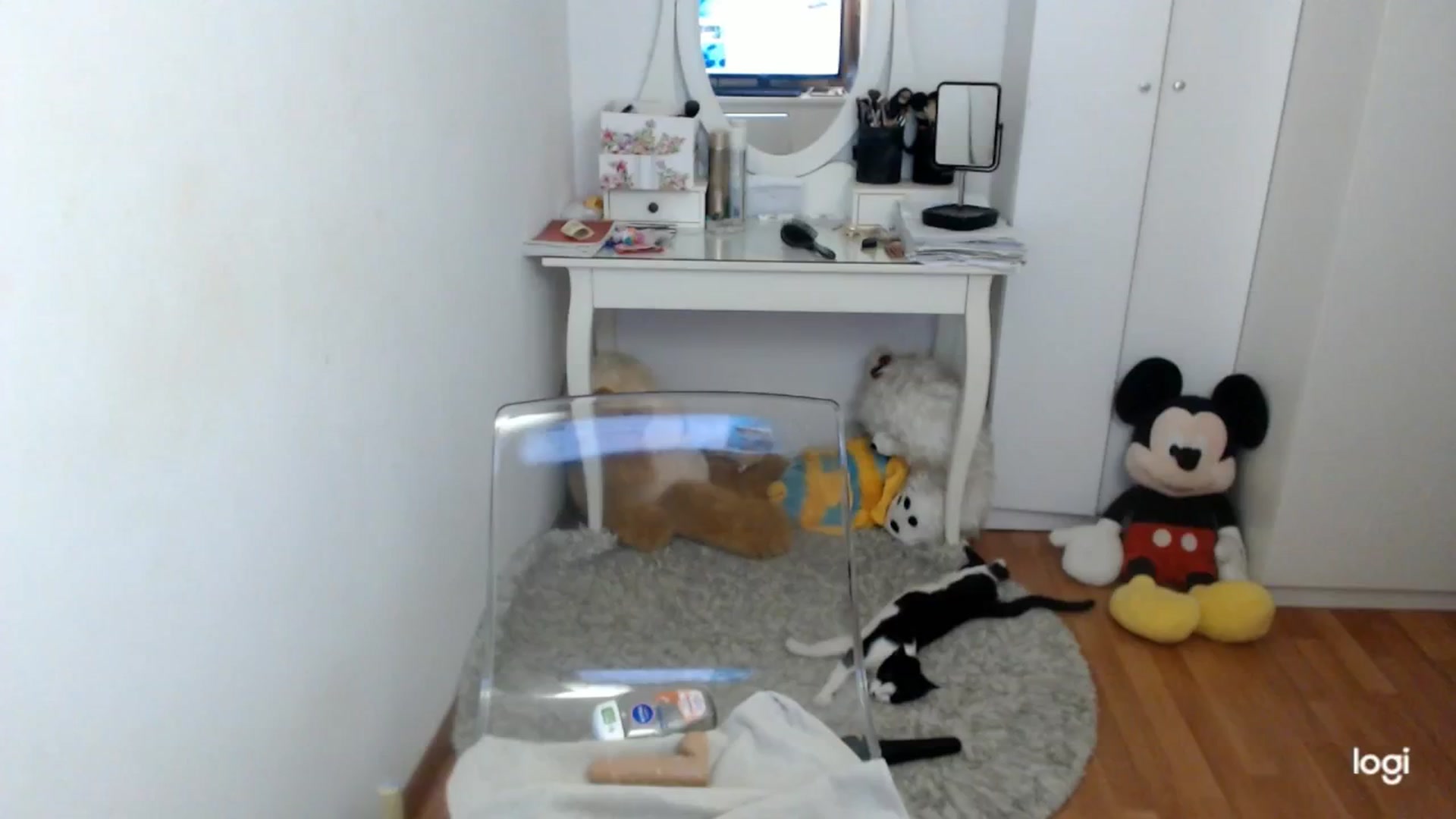 Gallery image thumbnail from AutumnJewel's myfreecams stream on, 10/18/2025, 09:04 image 5 of 20