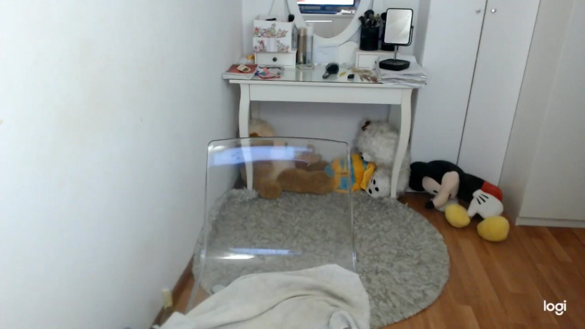 Gallery image thumbnail from AutumnJewel's myfreecams stream on, 10/19/2025, 09:36 image 9 of 20