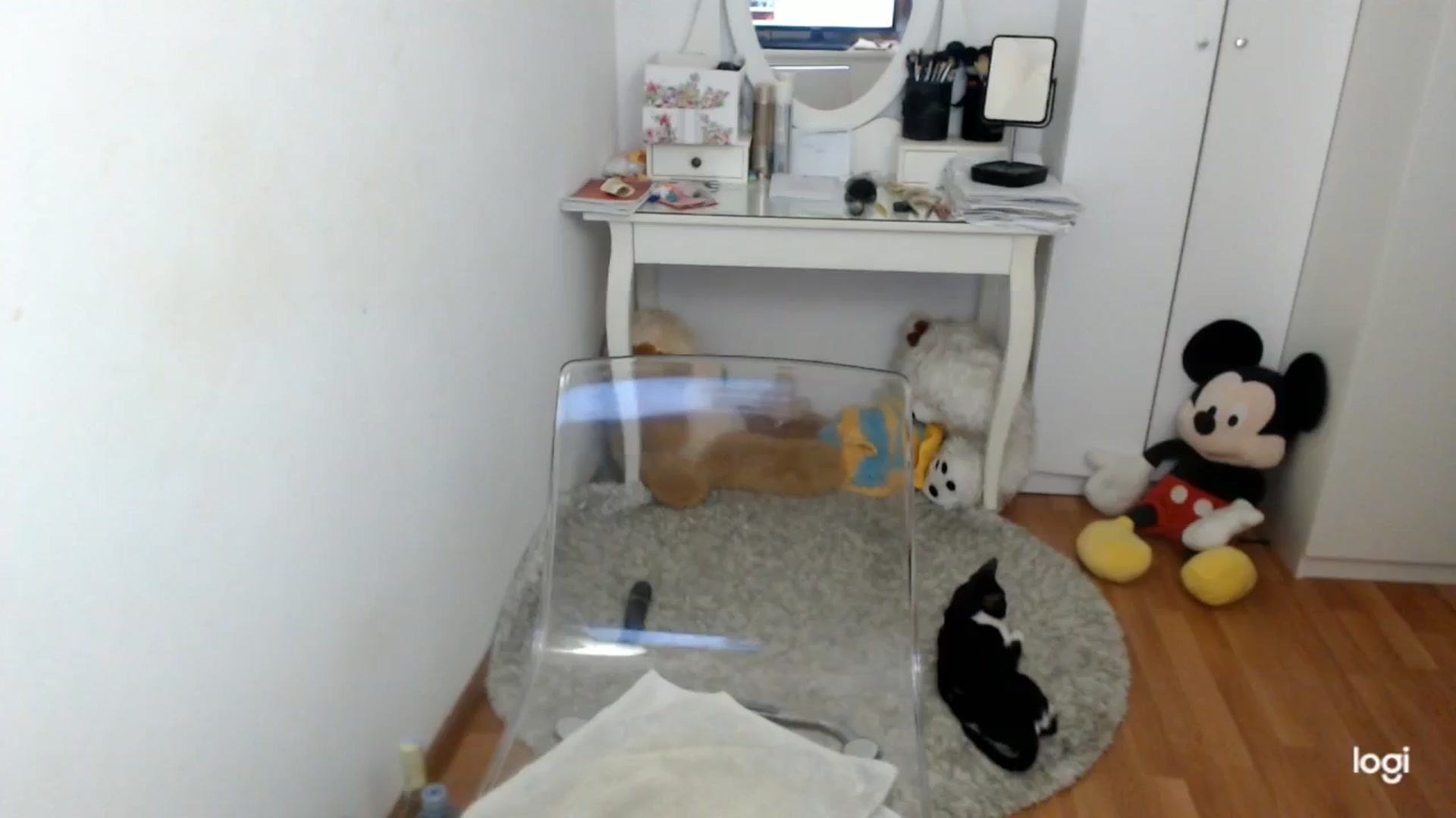 Gallery image thumbnail from AutumnJewel's myfreecams stream on, 10/21/2025, 08:30 image 19 of 20