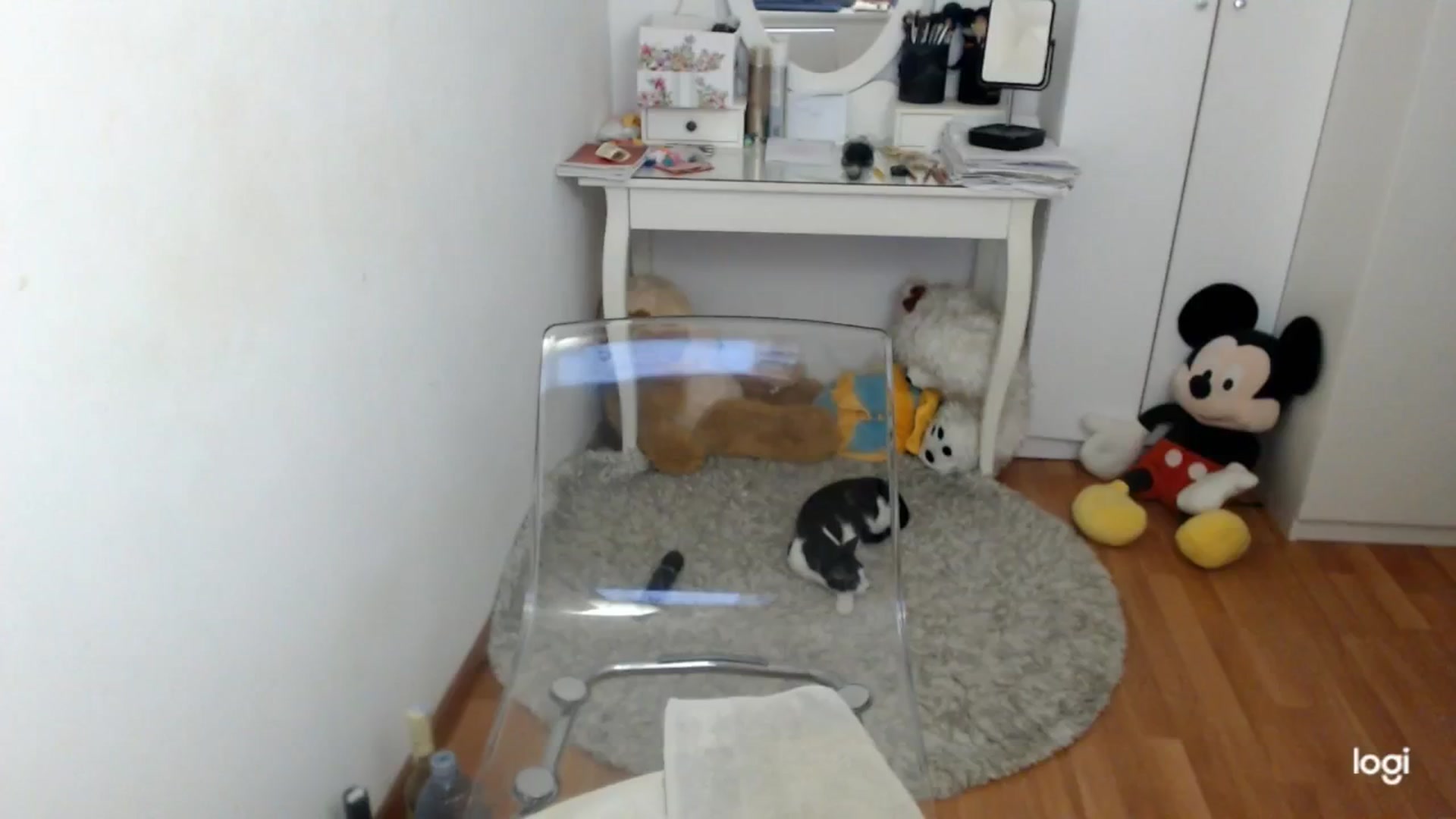 Gallery image thumbnail from AutumnJewel's myfreecams stream on, 10/21/2025, 08:30 image 8 of 20