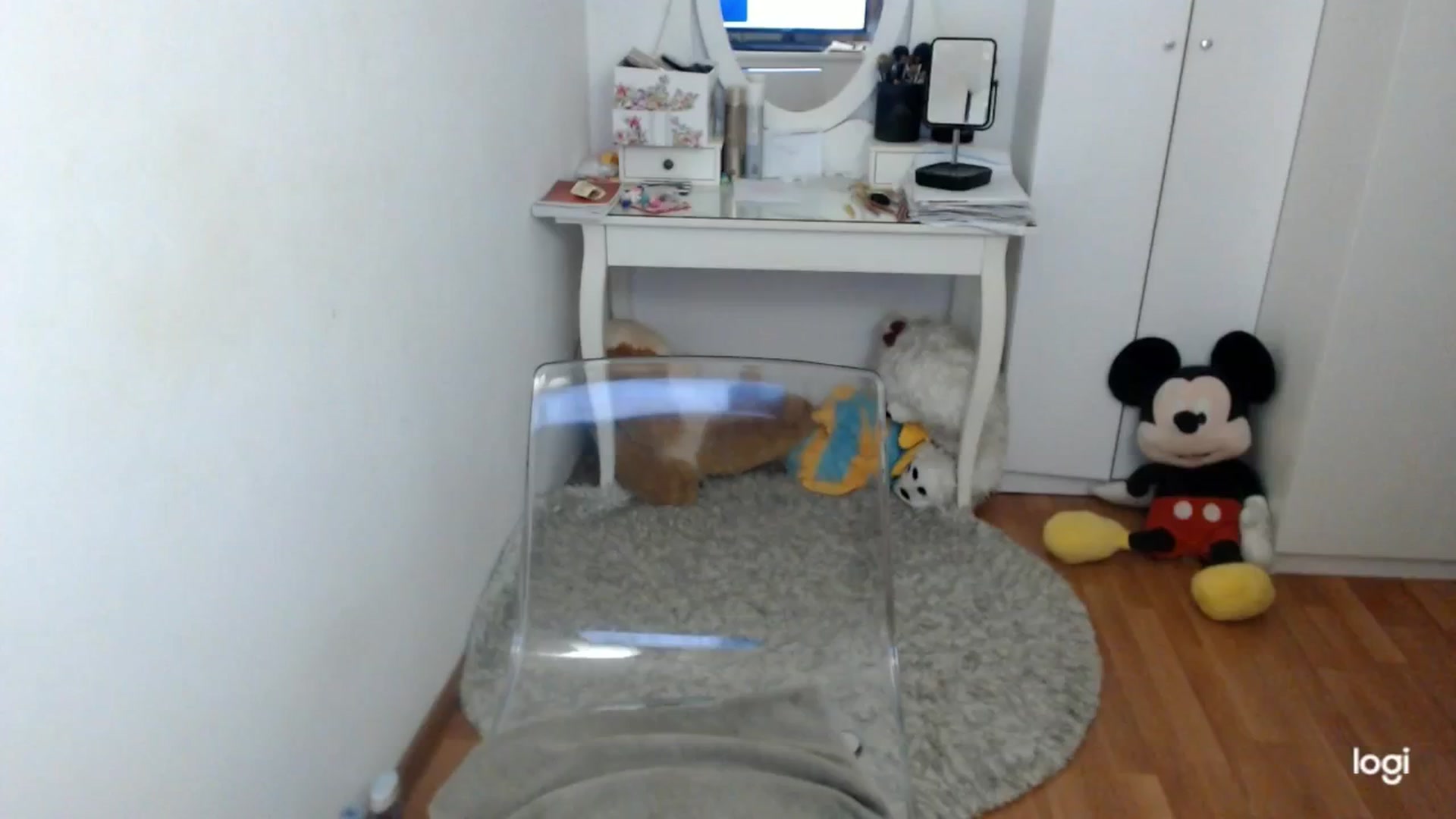 Gallery image thumbnail from AutumnJewel's myfreecams stream on, 10/23/2025, 07:39 image 19 of 20