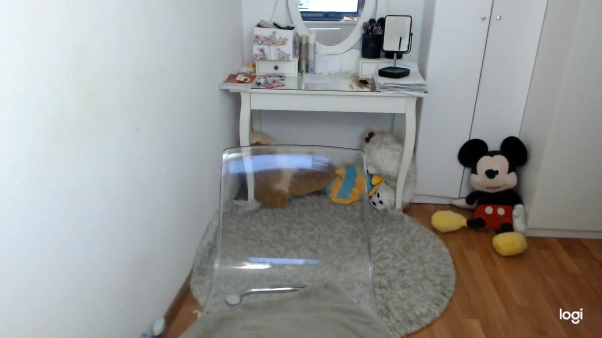 Gallery image thumbnail from AutumnJewel's myfreecams stream on, 10/23/2025, 08:49 image 6 of 20