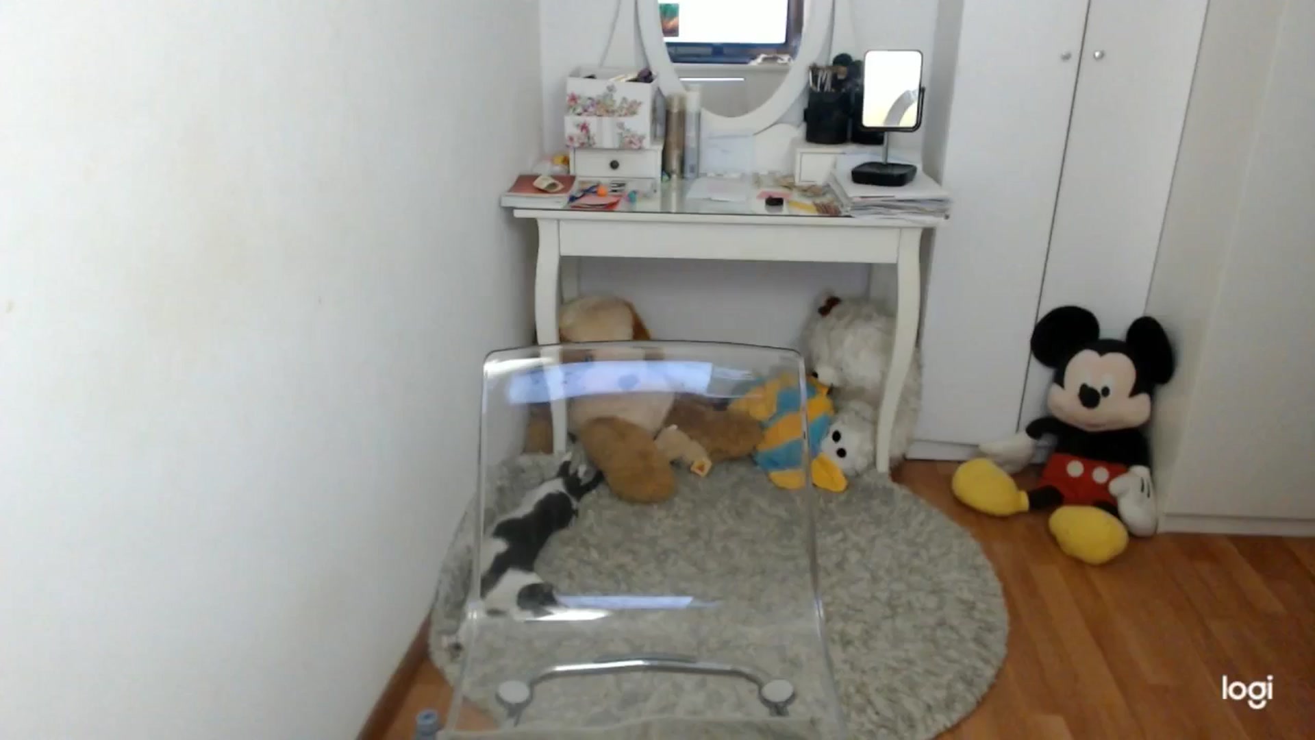 Gallery image thumbnail from AutumnJewel's myfreecams stream on, 10/30/2025, 08:34 image 3 of 20