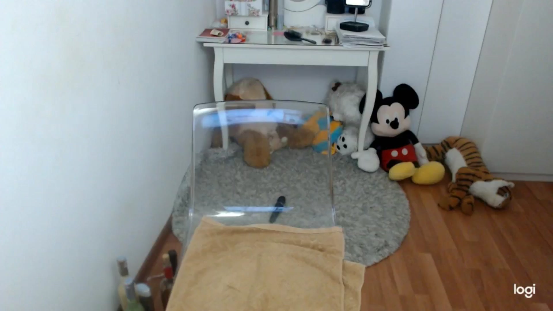 Gallery image thumbnail from AutumnJewel's myfreecams stream on, 11/11/2025, 10:14 image 20 of 20