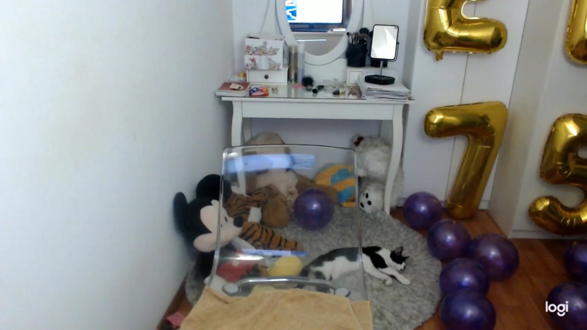 Gallery image thumbnail from AutumnJewel's myfreecams stream on, 11/12/2025, 09:51 image 8 of 20