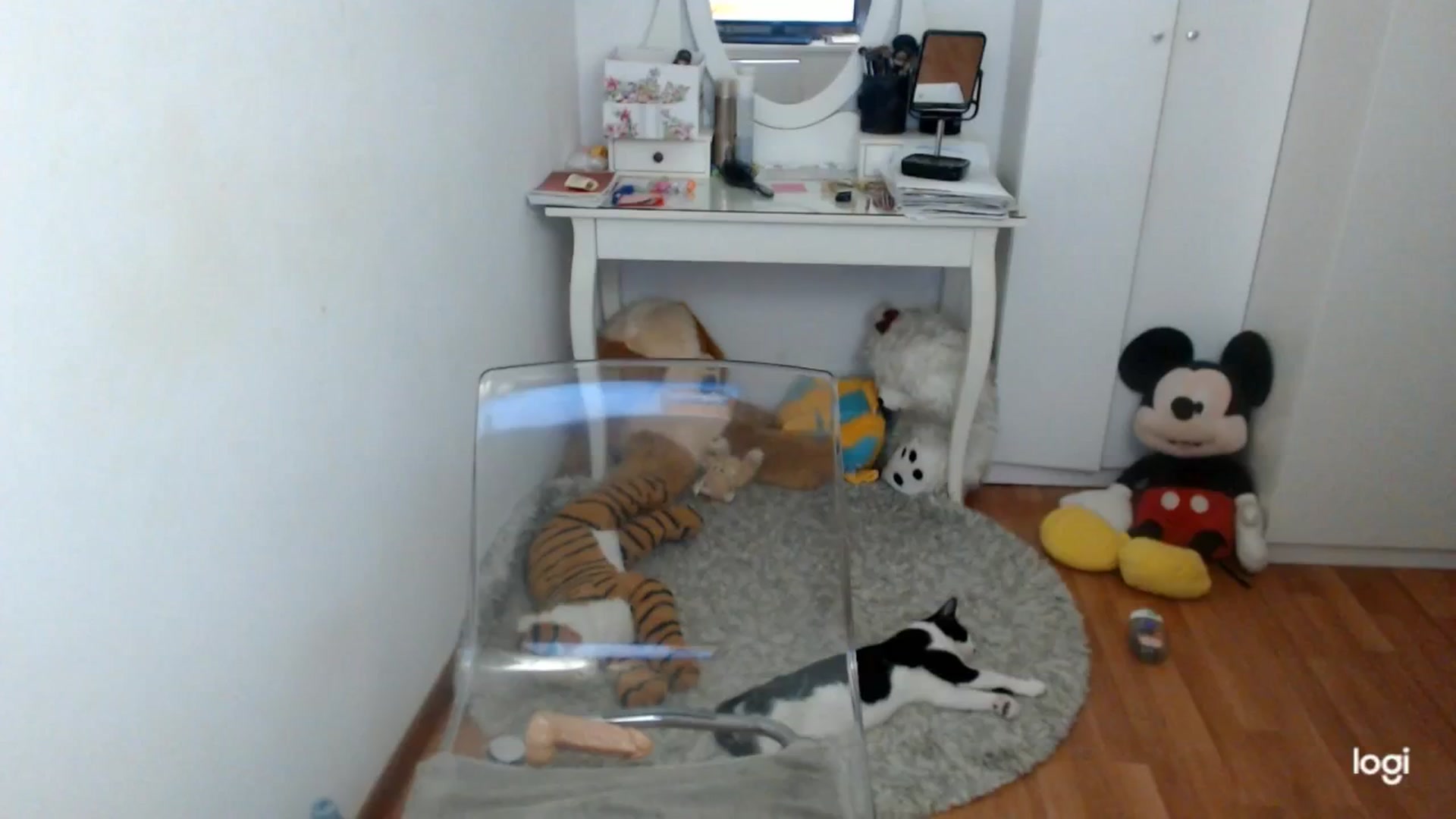 Gallery image thumbnail from AutumnJewel's myfreecams stream on, 11/14/2025, 09:21 image 15 of 20