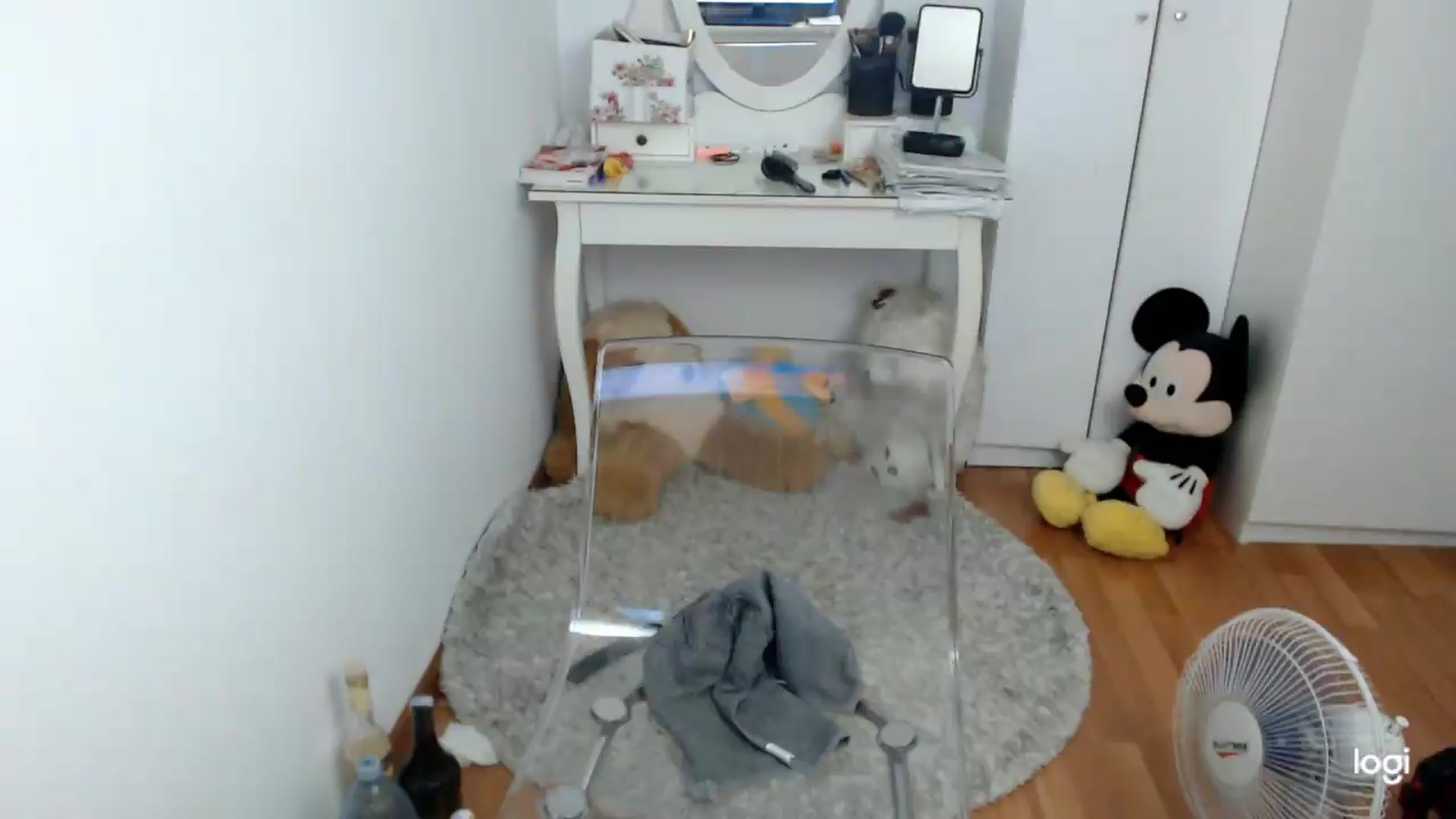Gallery image thumbnail from AutumnJewel's myfreecams stream on, 09/04/2026, 08:48 image 12 of 20