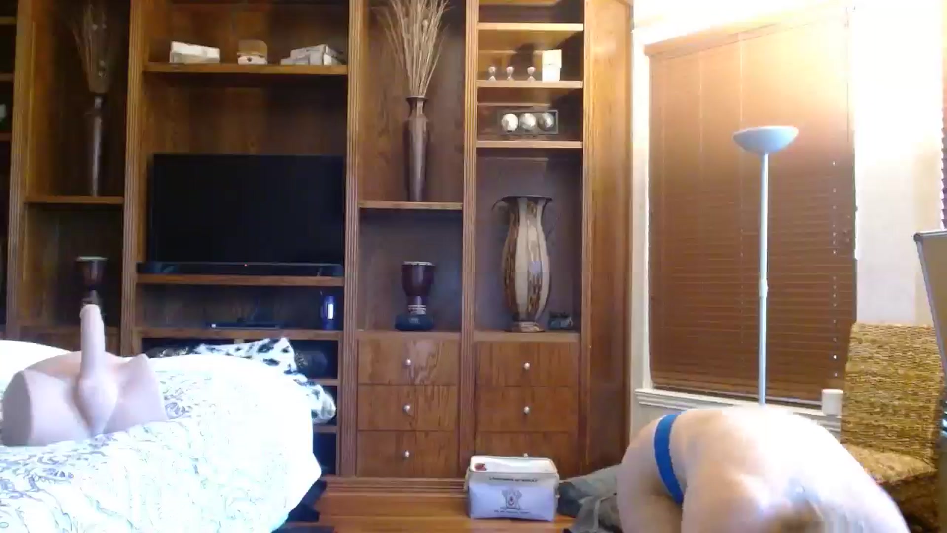 Gallery image thumbnail from Autumn_Blonde's myfreecams stream on, 06/16/2025, 14:38 image 14 of 20