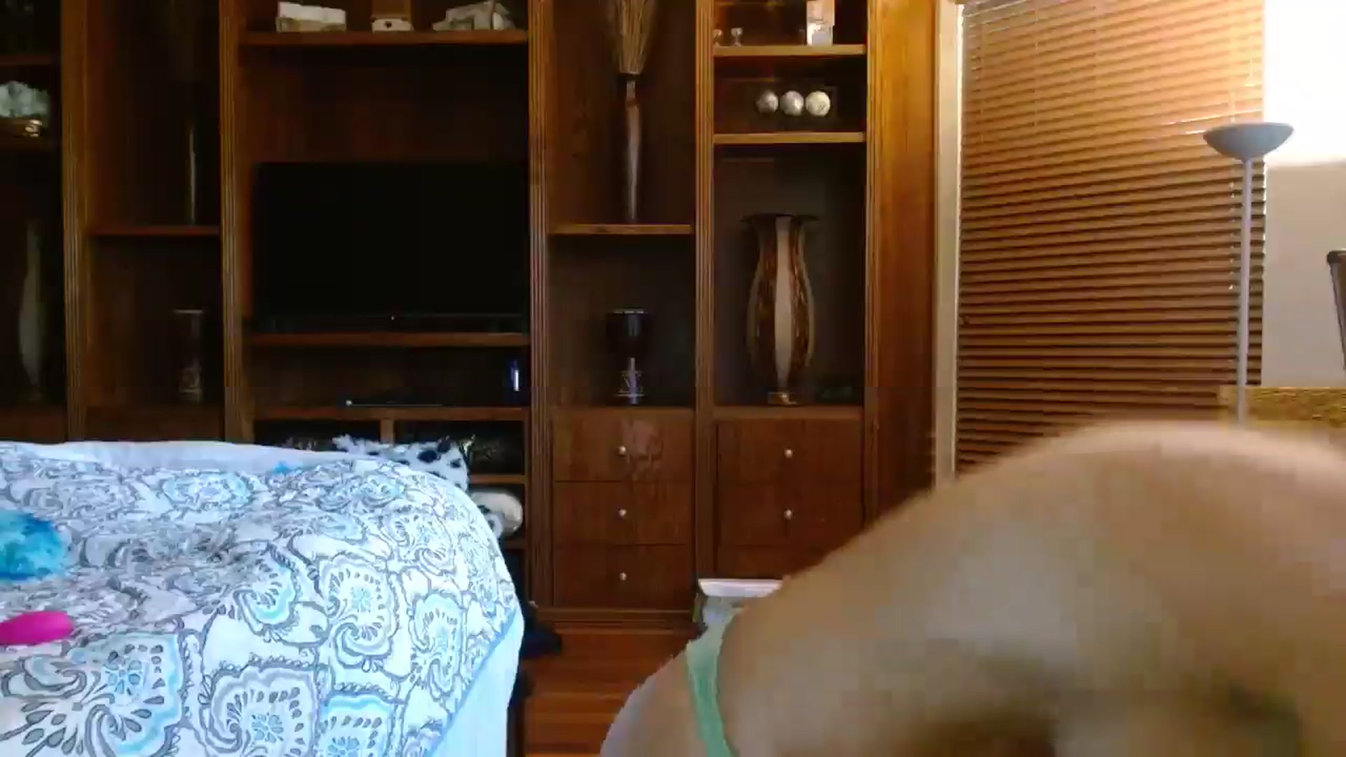 Gallery image thumbnail from Autumn_Blonde's myfreecams stream on, 08/08/2025, 14:47 image 18 of 20