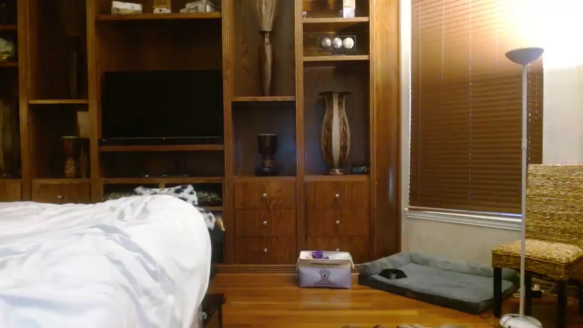 Gallery image thumbnail from Autumn_Blonde's myfreecams stream on, 09/19/2025, 15:09 image 19 of 20