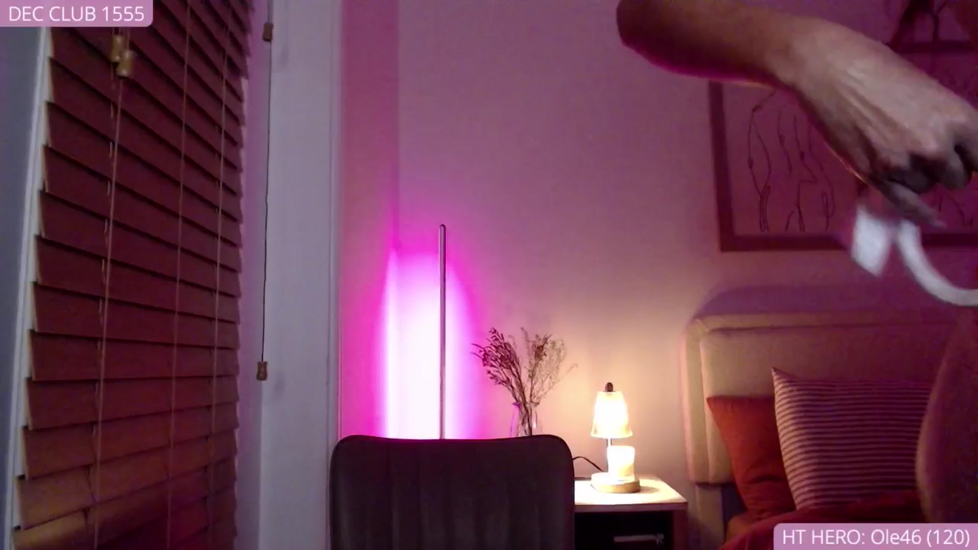 Gallery image thumbnail from AvaBanks's myfreecams stream on, 12/04/2025, 04:08 image 16 of 20